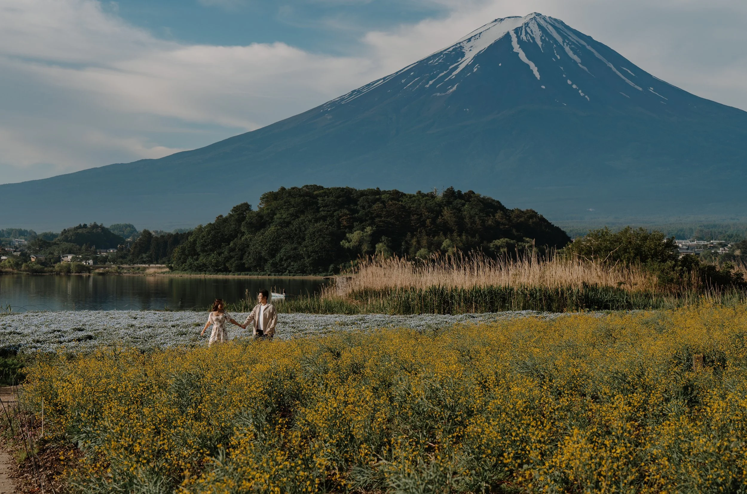 mount-fuji-kawaguchiko-flower-field-walk-couple-23.jpg