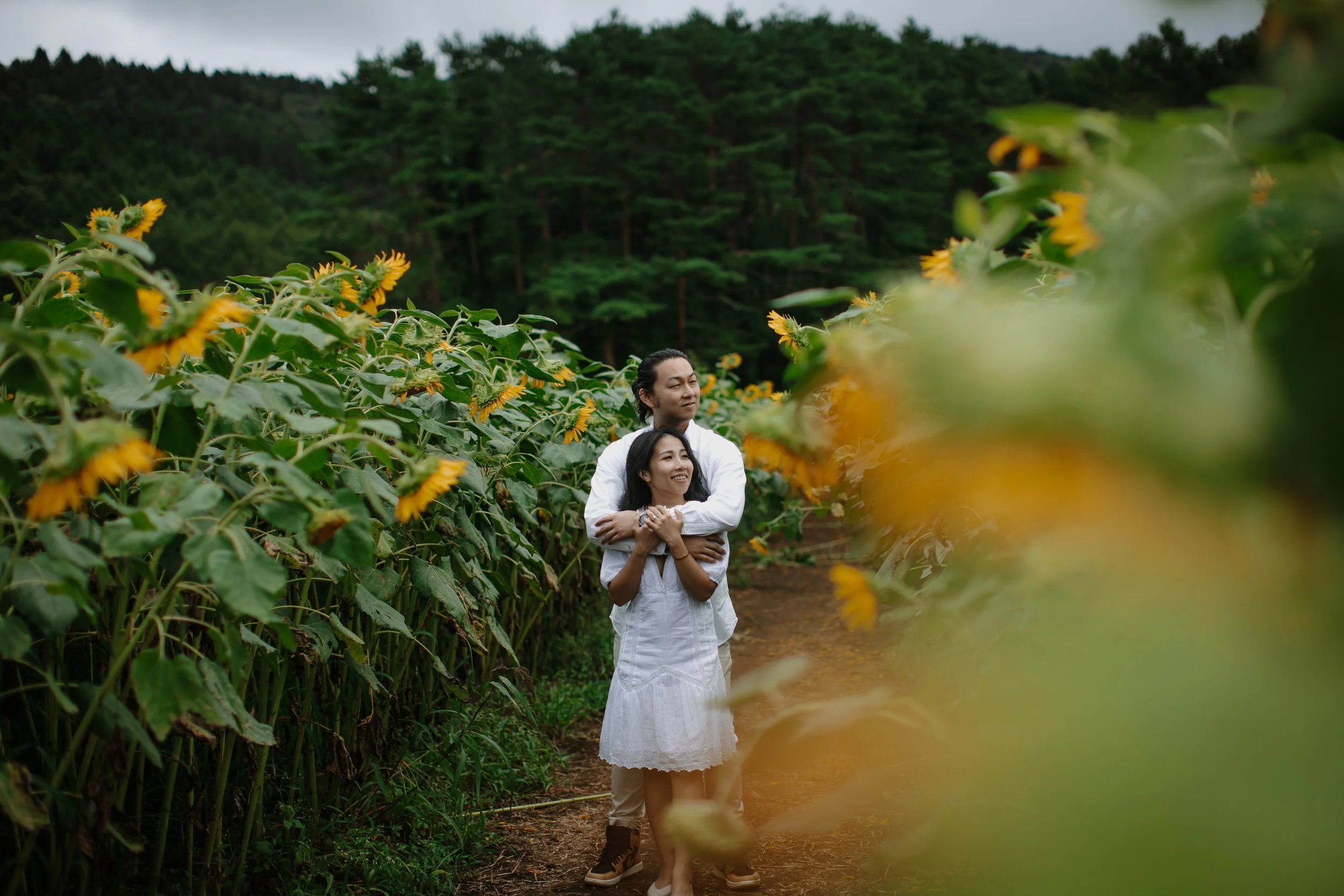yamanaka-flower-park-sunflower-field-embrace-couple-30.jpg