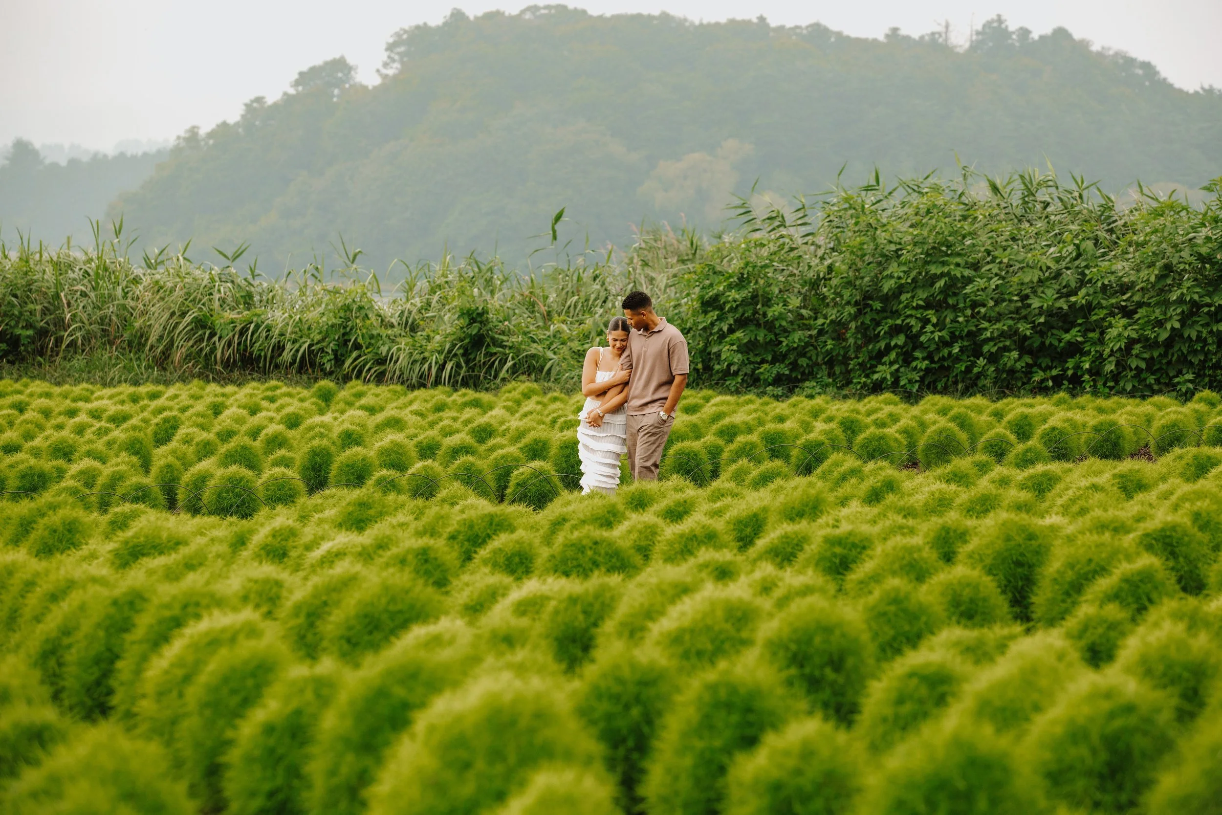 hitachi-seaside-park-kochia-field-embrace-couple-07.jpg