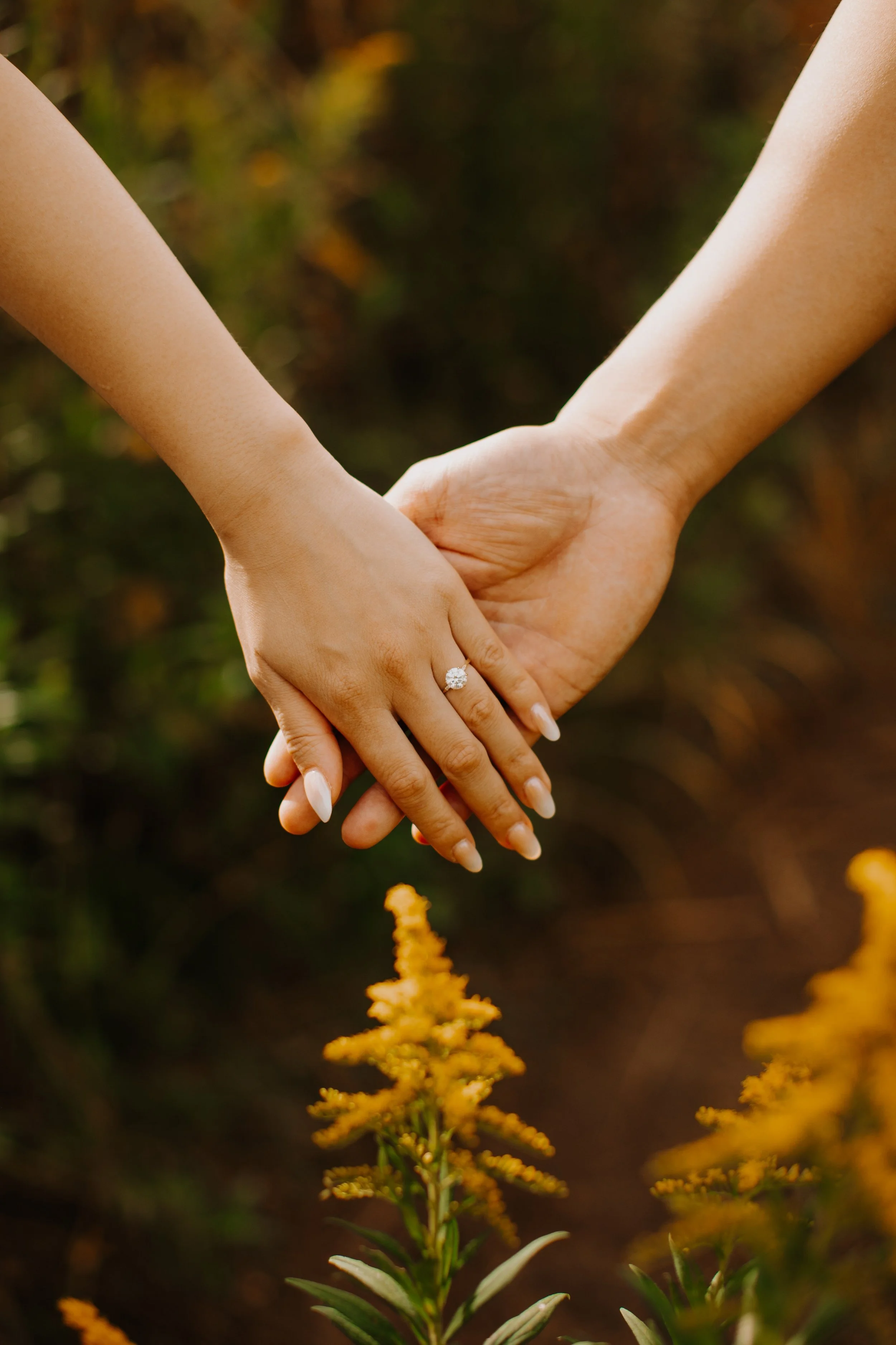 mount-fuji-fall-goldenrod-field-hands-couple-21.jpg