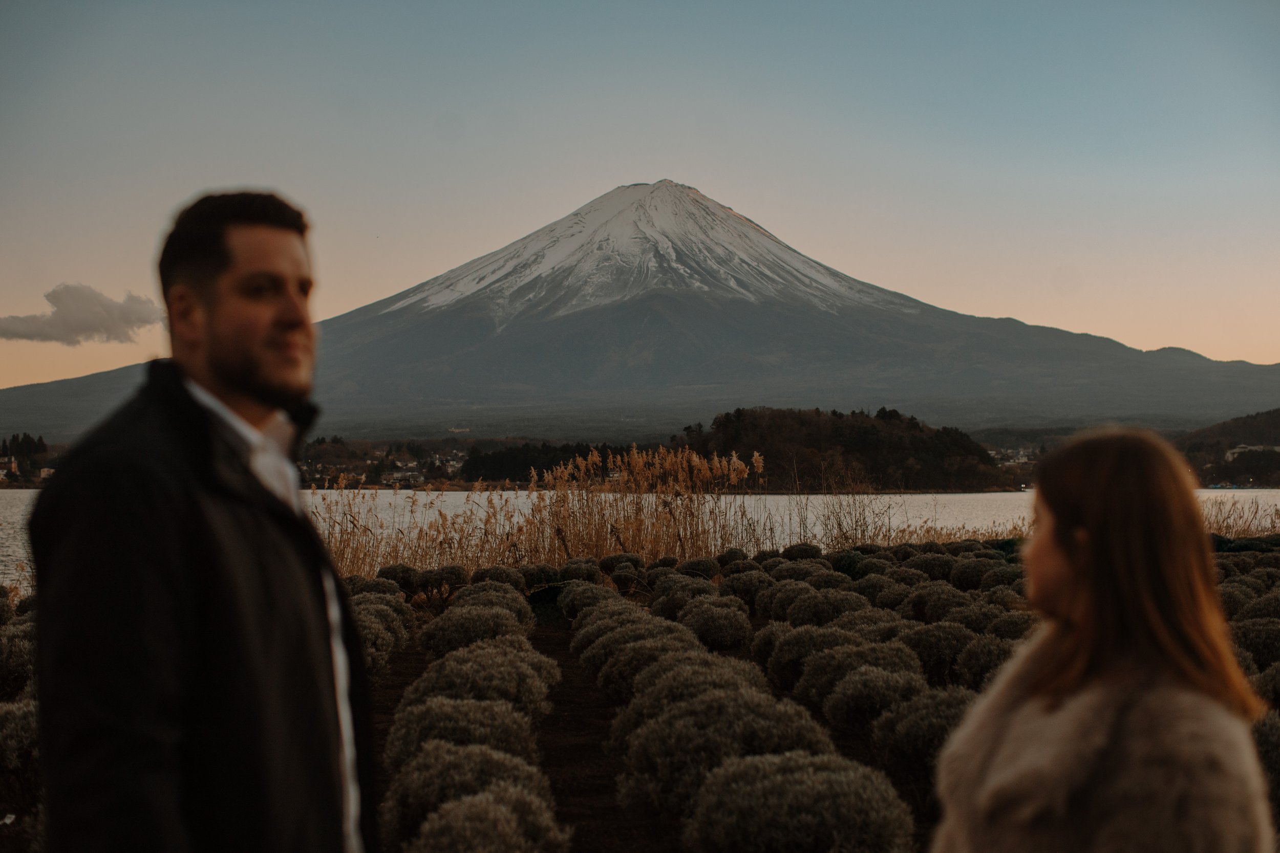 mount-fuji-dusk-engagement-lavender-field-22.jpg