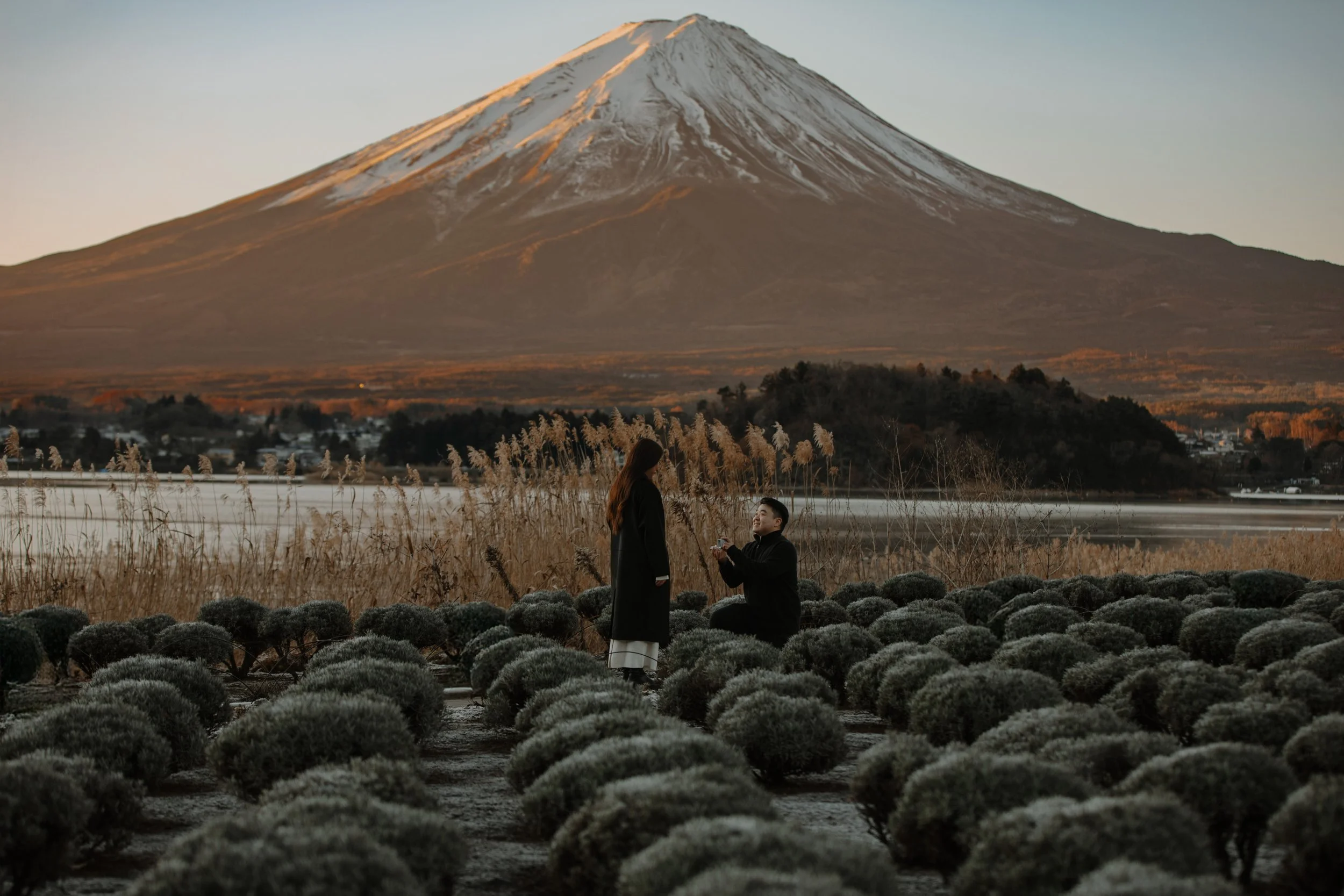 mount-fuji-dusk-proposal-lavender-field-24.jpg