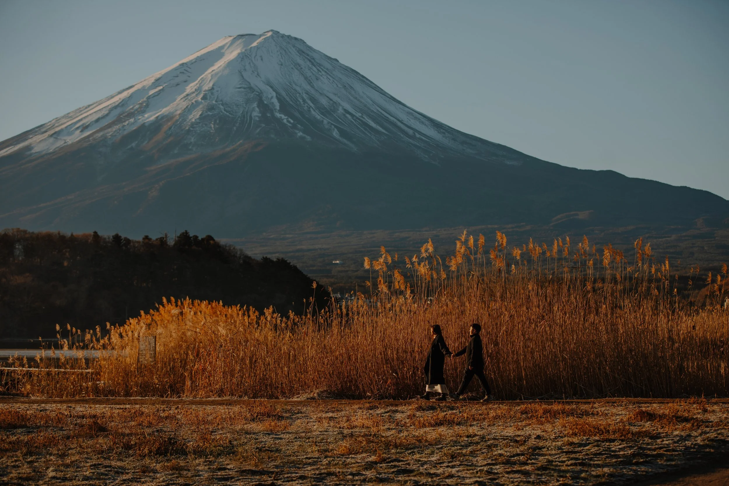 mount-fuji-daylight-engagement-walking-reeds-28.jpg