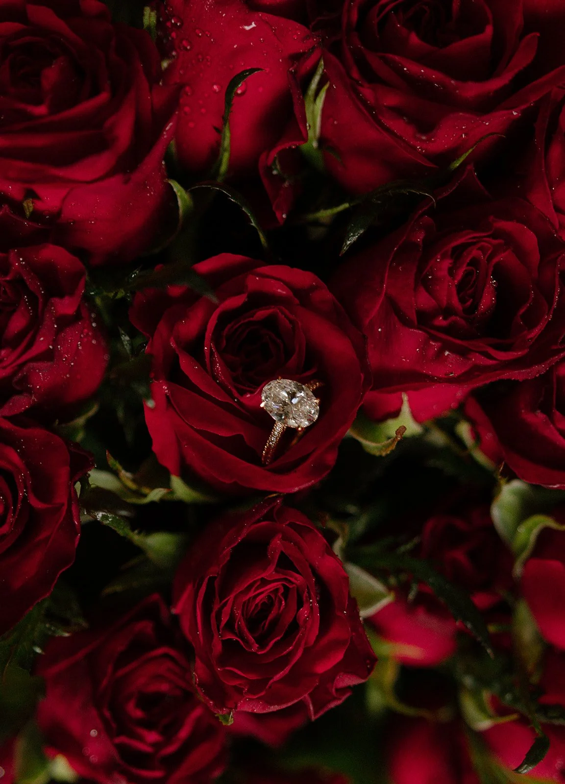 suhail-thelma-park-hyatt-kyoto-ring-rose-macro-12.jpg