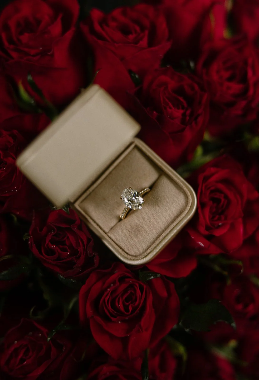 suhail-thelma-park-hyatt-kyoto-ring-box-macro-13.jpg