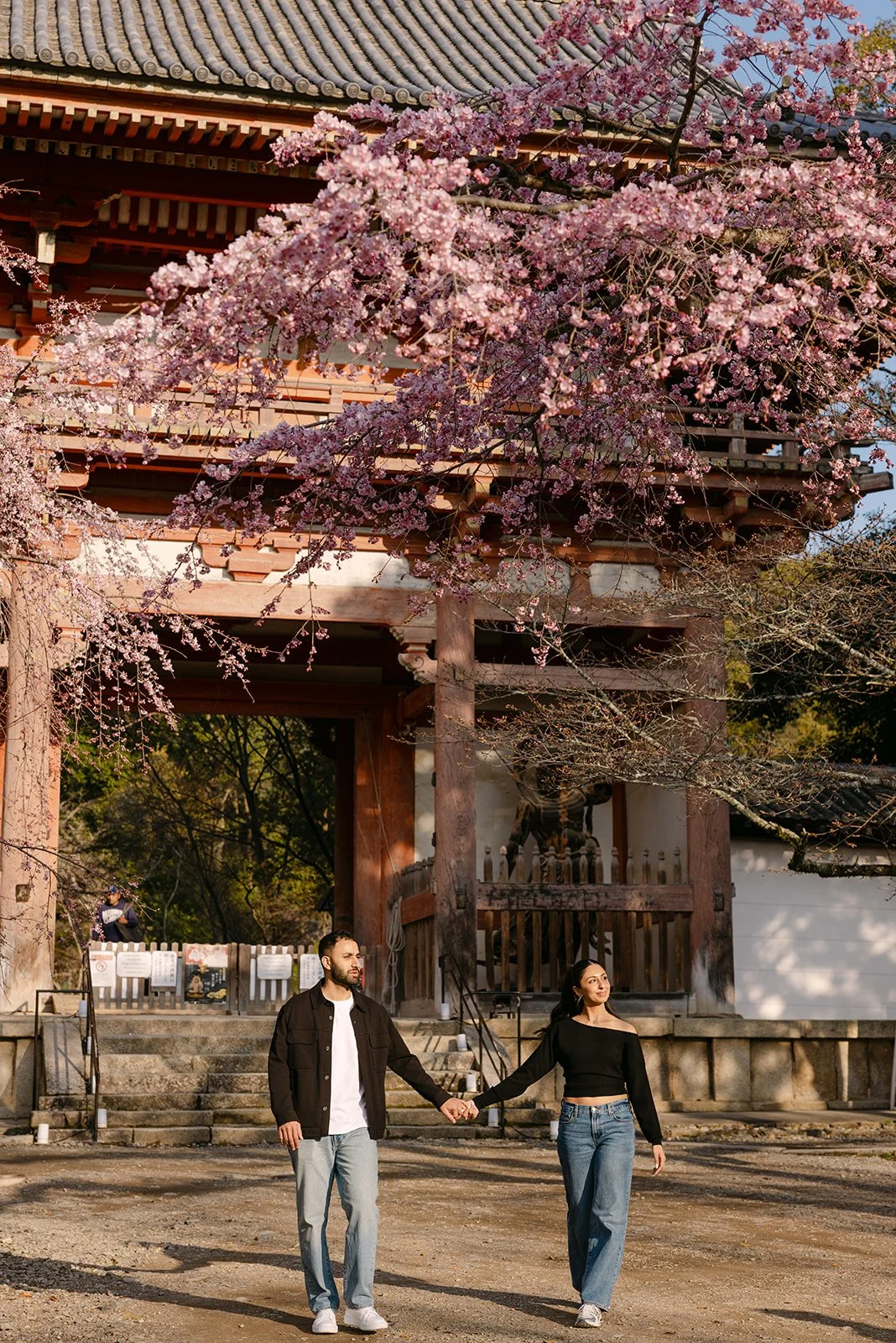 tyson-harroop-daigoji-kyoto-proposal-walking-gate-blossoms-14.jpg