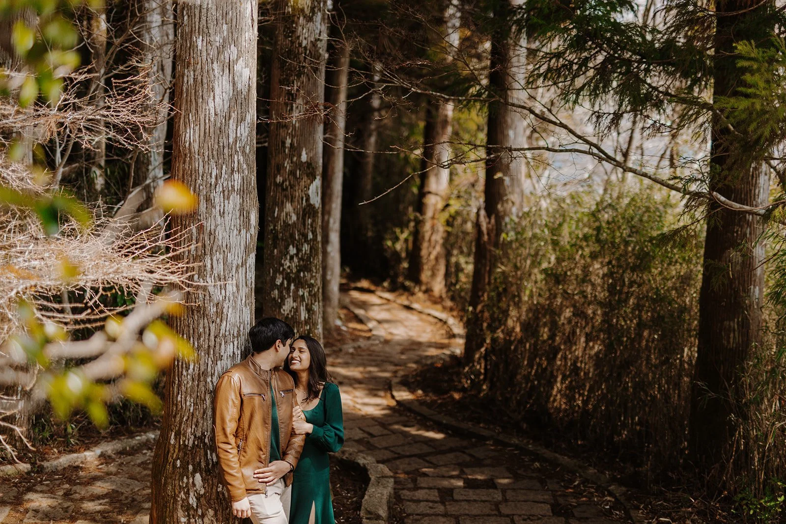 A couple laughing together against a cedar tree trunk along a stone forest path in Hakone