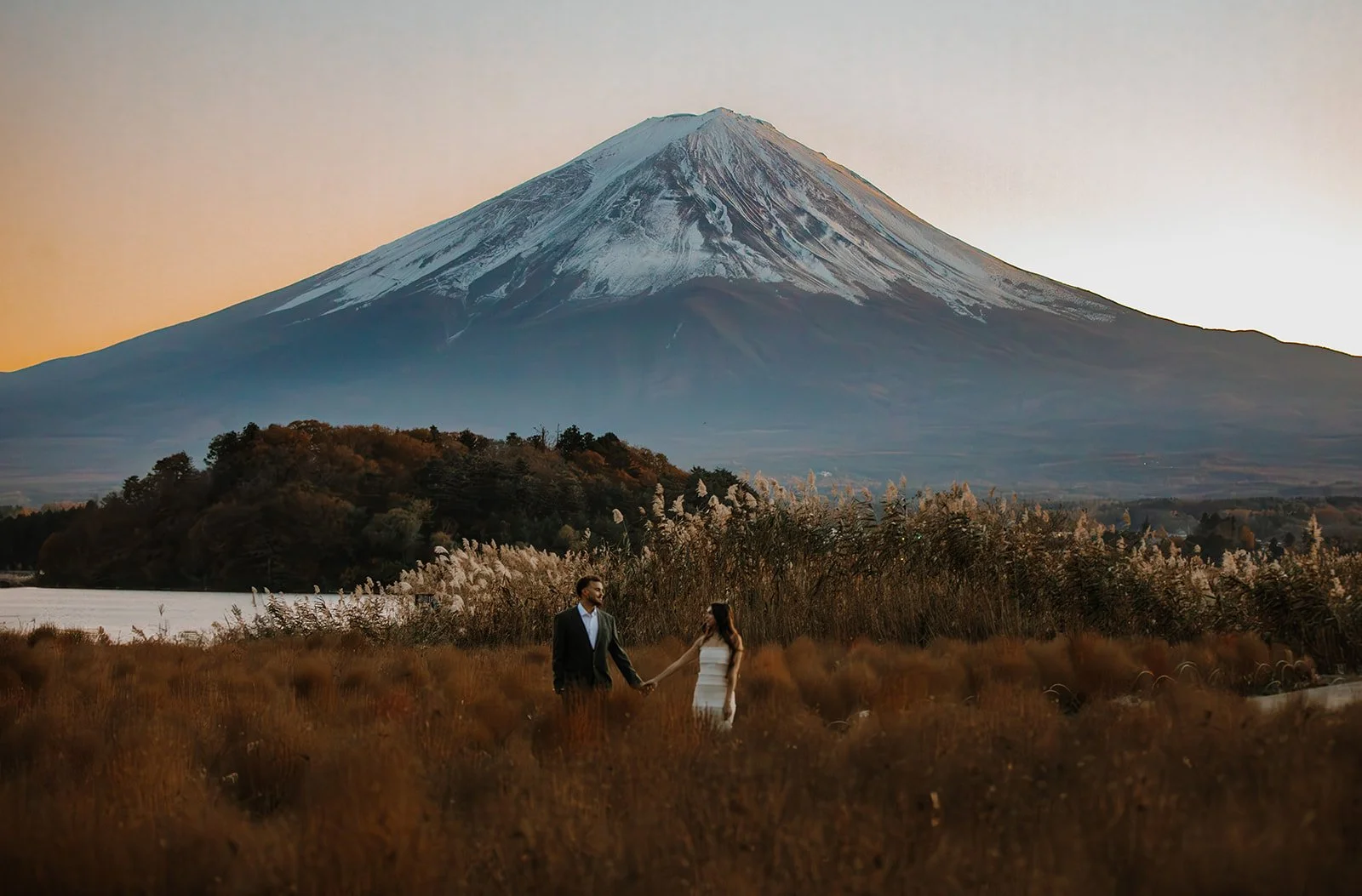 Couple walks hand in hand through a golden susuki field at sunset with Mount Fuji behind them.