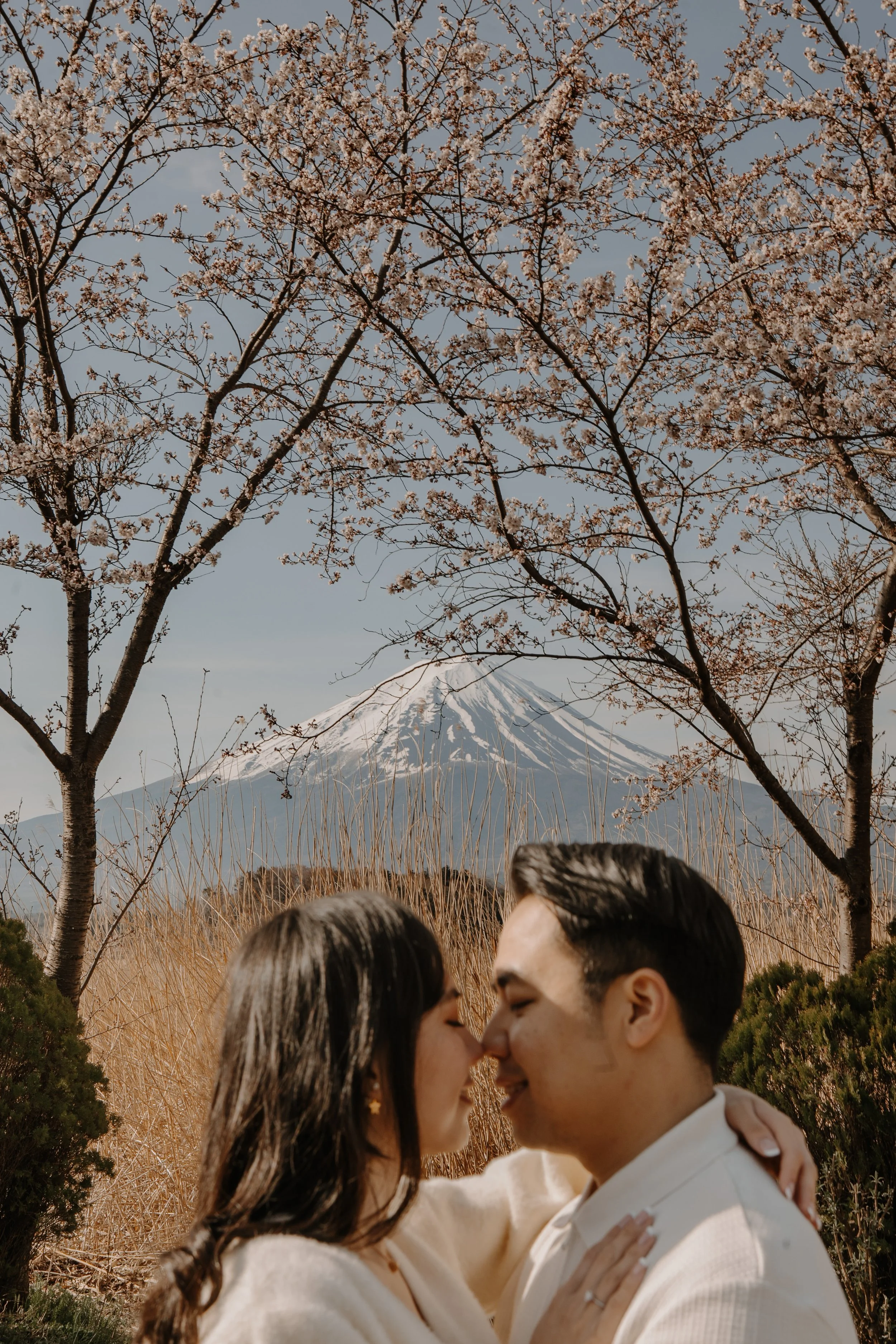 Couple kissing framed by cherry blossom branches with Mount Fuji visible in the distance