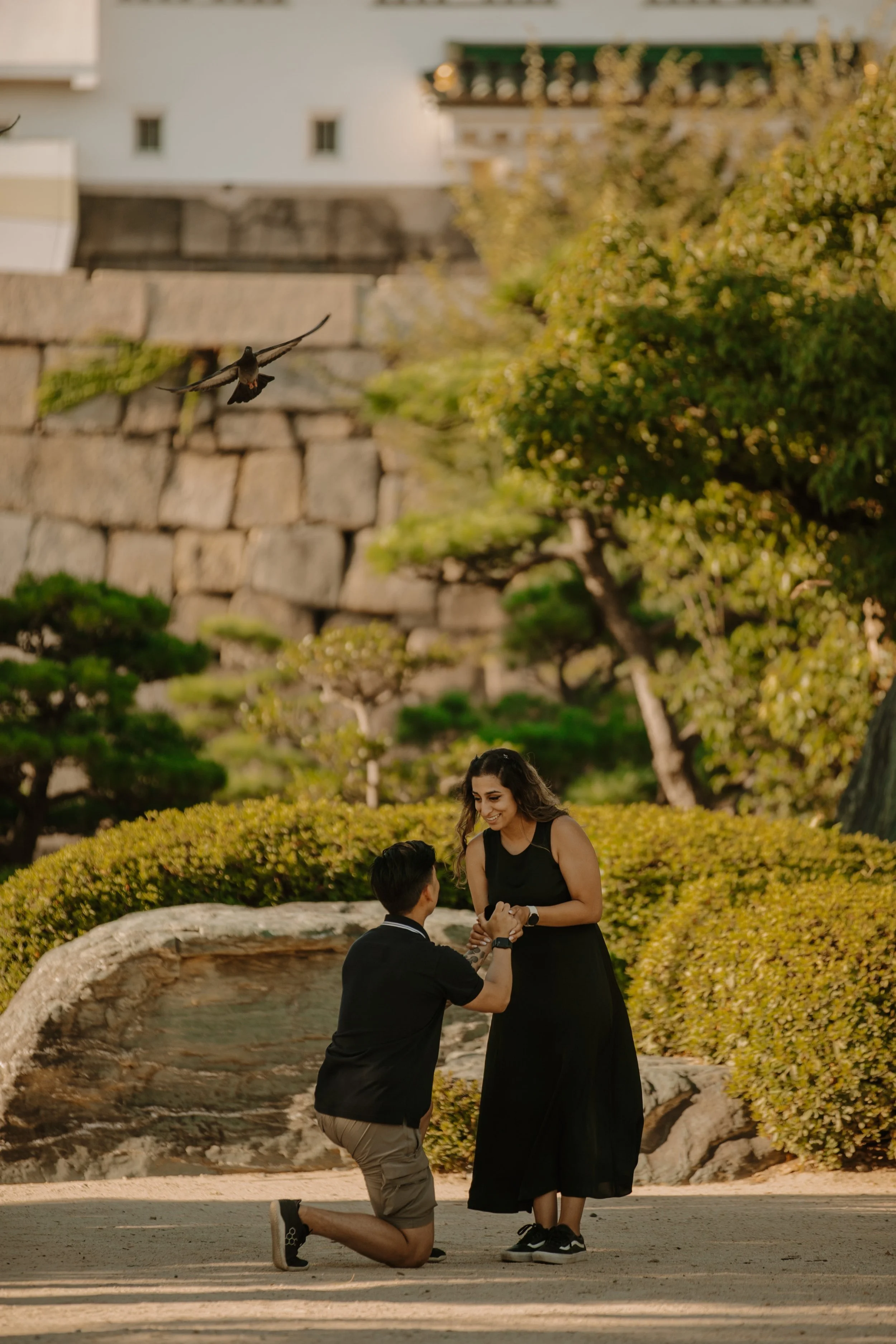 Man kneeling to propose in the gardens below Osaka Castle as a pigeon flies past

