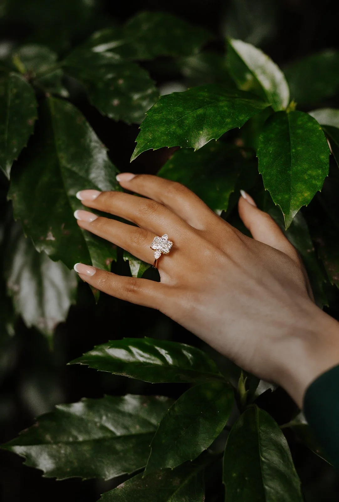 Close-up of a bride's hand resting among glossy green leaves showing her new engagement ring, Hakone