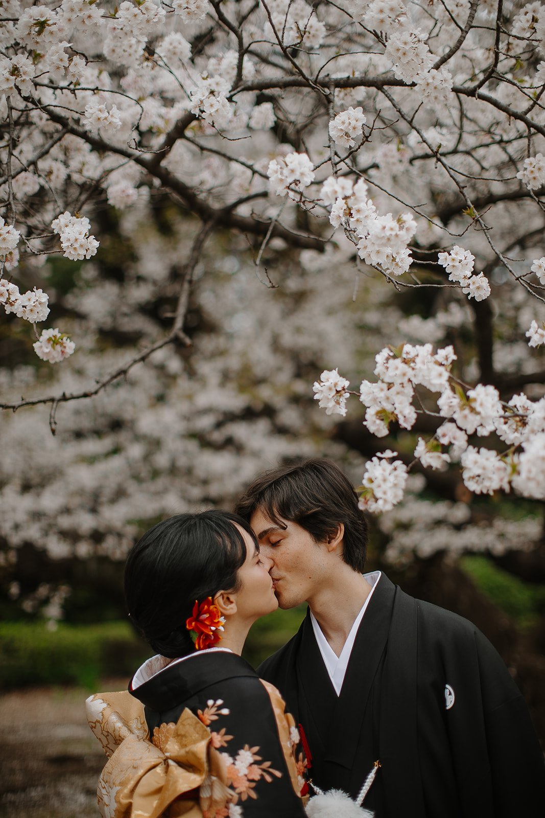 Couple in traditional kimono sharing a kiss beneath blooming cherry blossom trees during a spring elopement in Tokyo, Japan