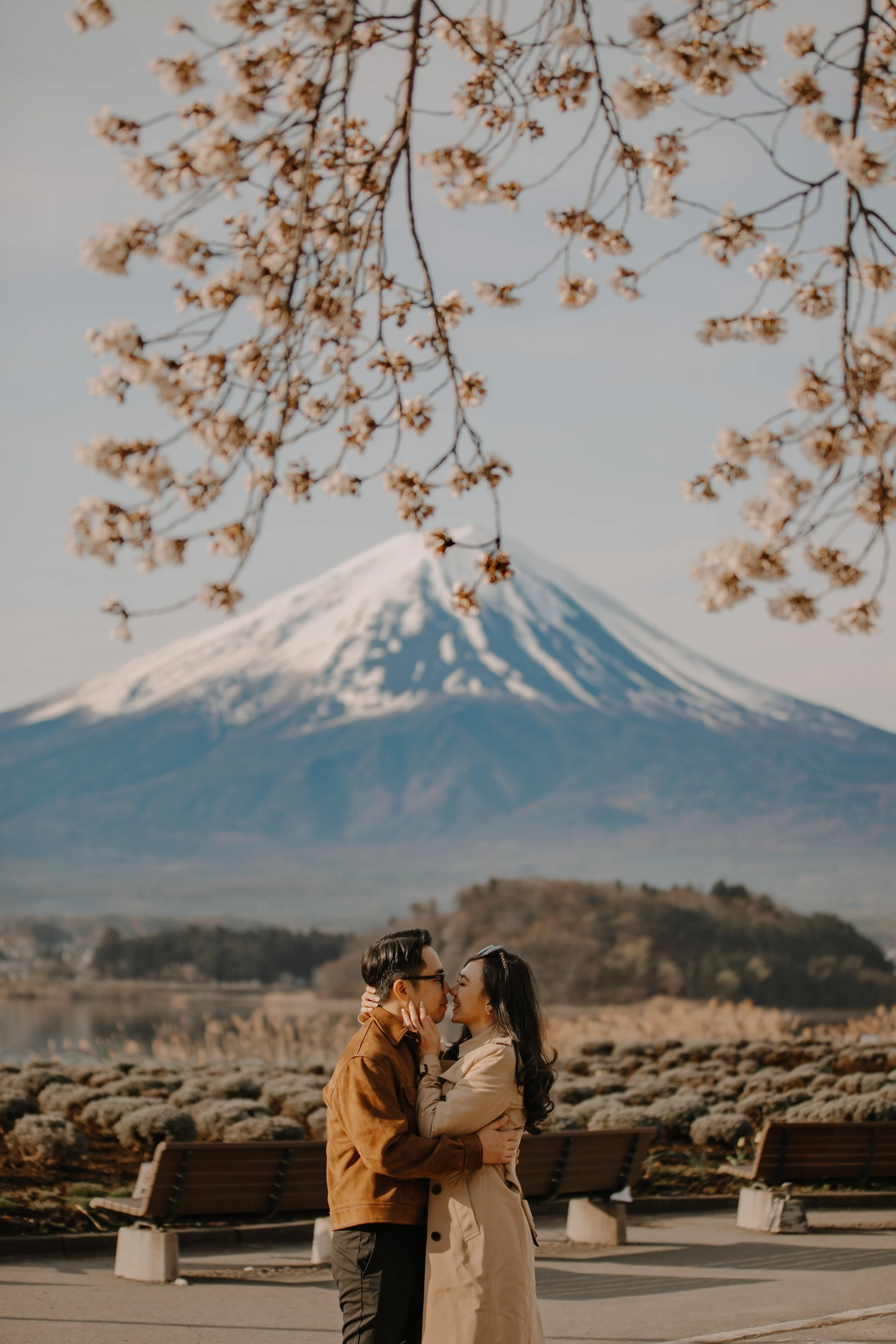 Couple kissing beneath cherry blossoms with Mount Fuji and Lake Kawaguchi behind them