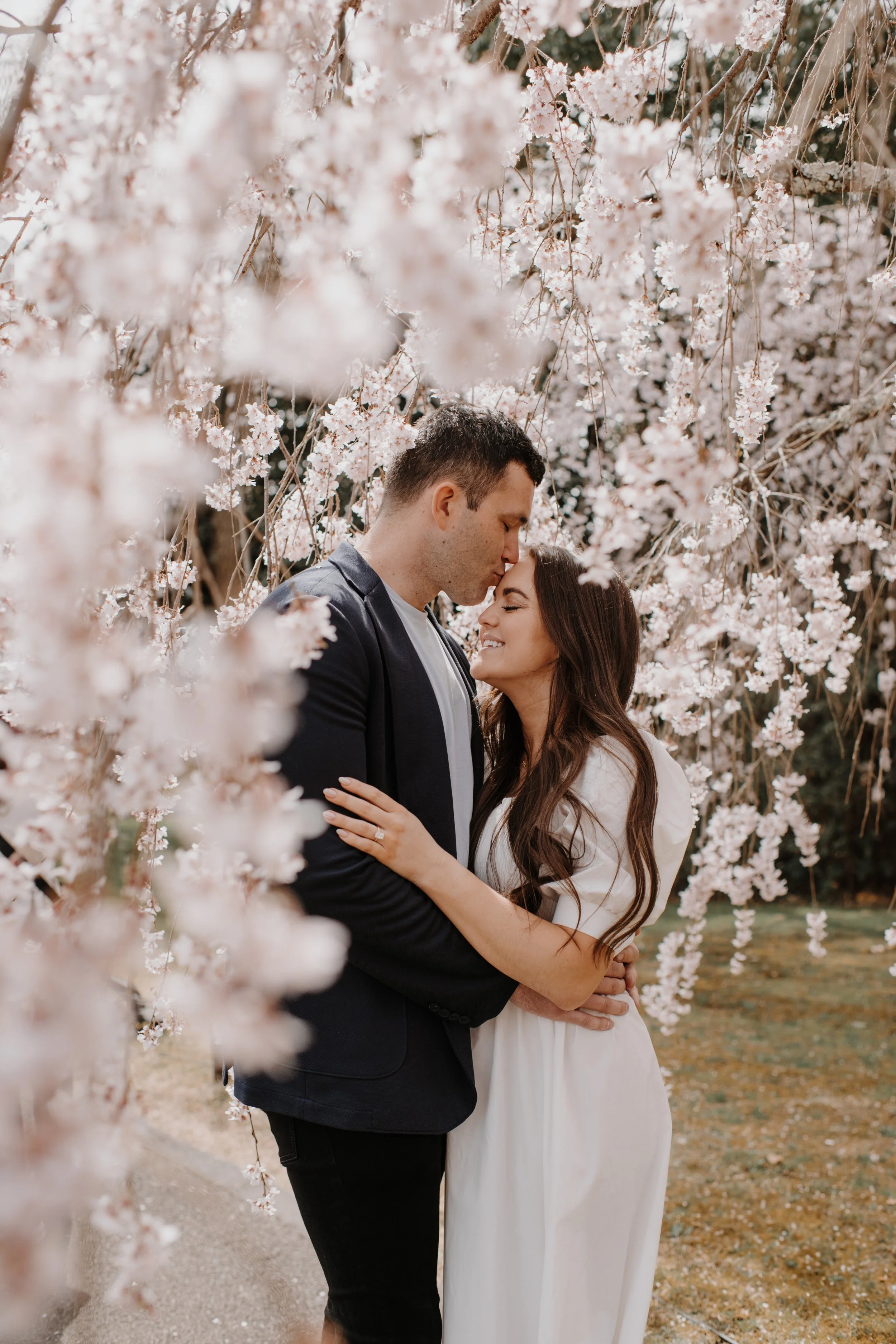 Groom kissing his fiancée's forehead beneath a curtain of pink weeping cherry blossoms, her engagement ring visible on his lapel.
