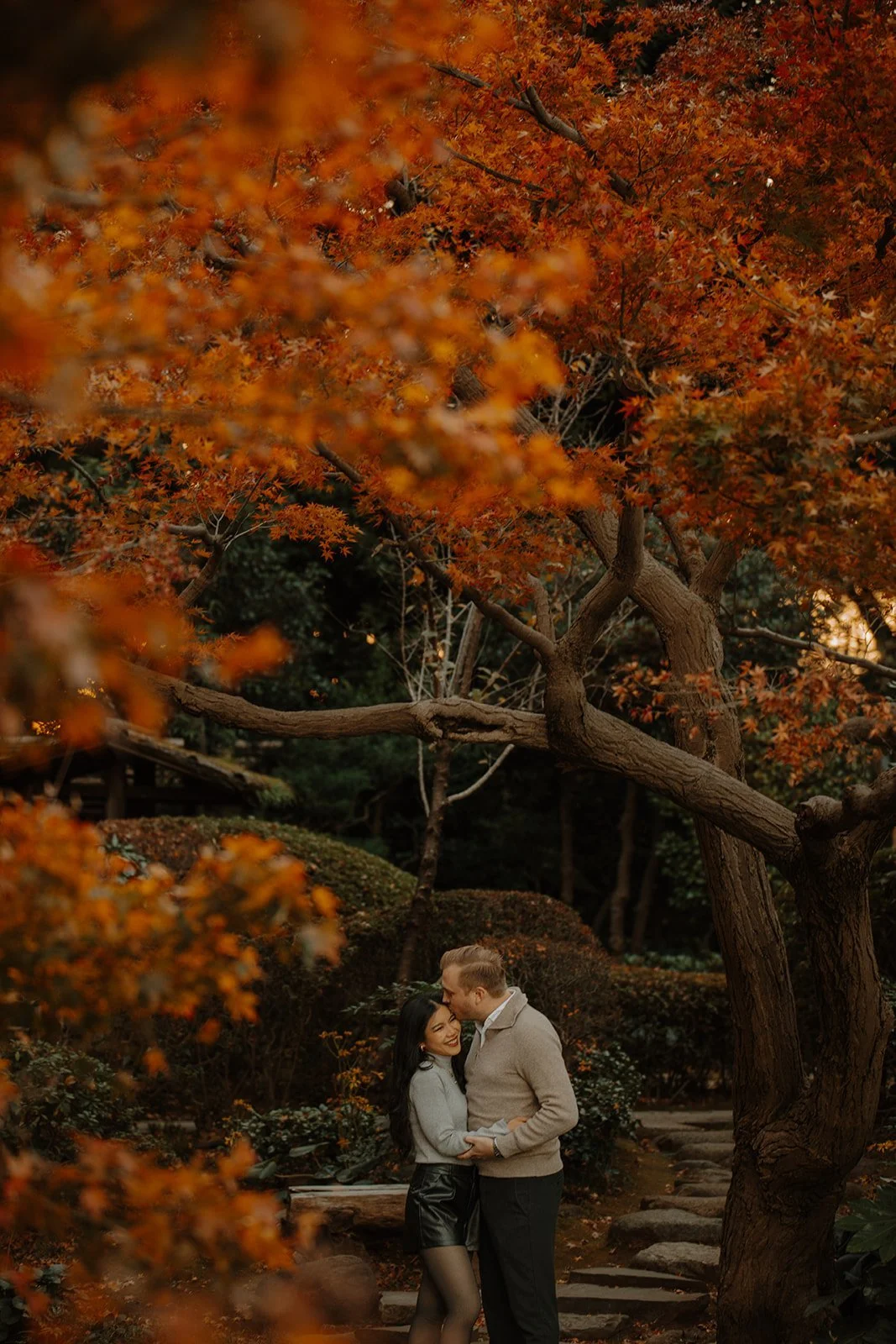 Couple embracing among fiery autumn maple leaves in a Tokyo Japanese garden