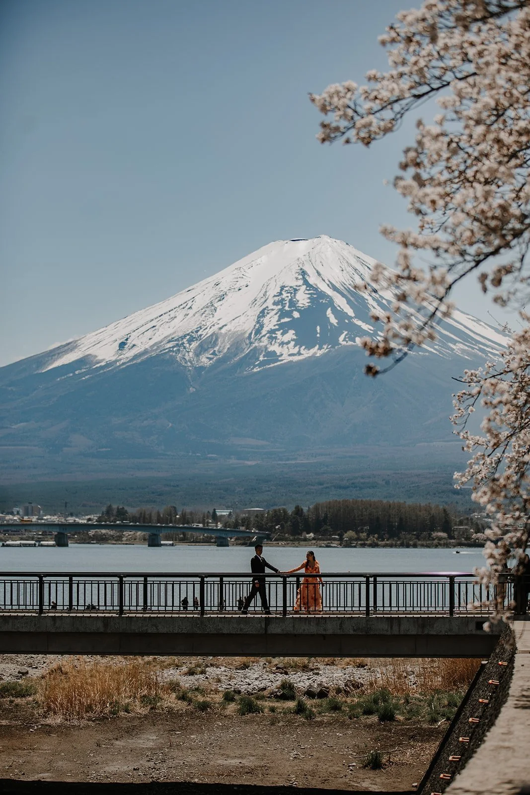 Couple crossing a bridge under blooming cherry trees with Mount Fuji and the lake behind them
