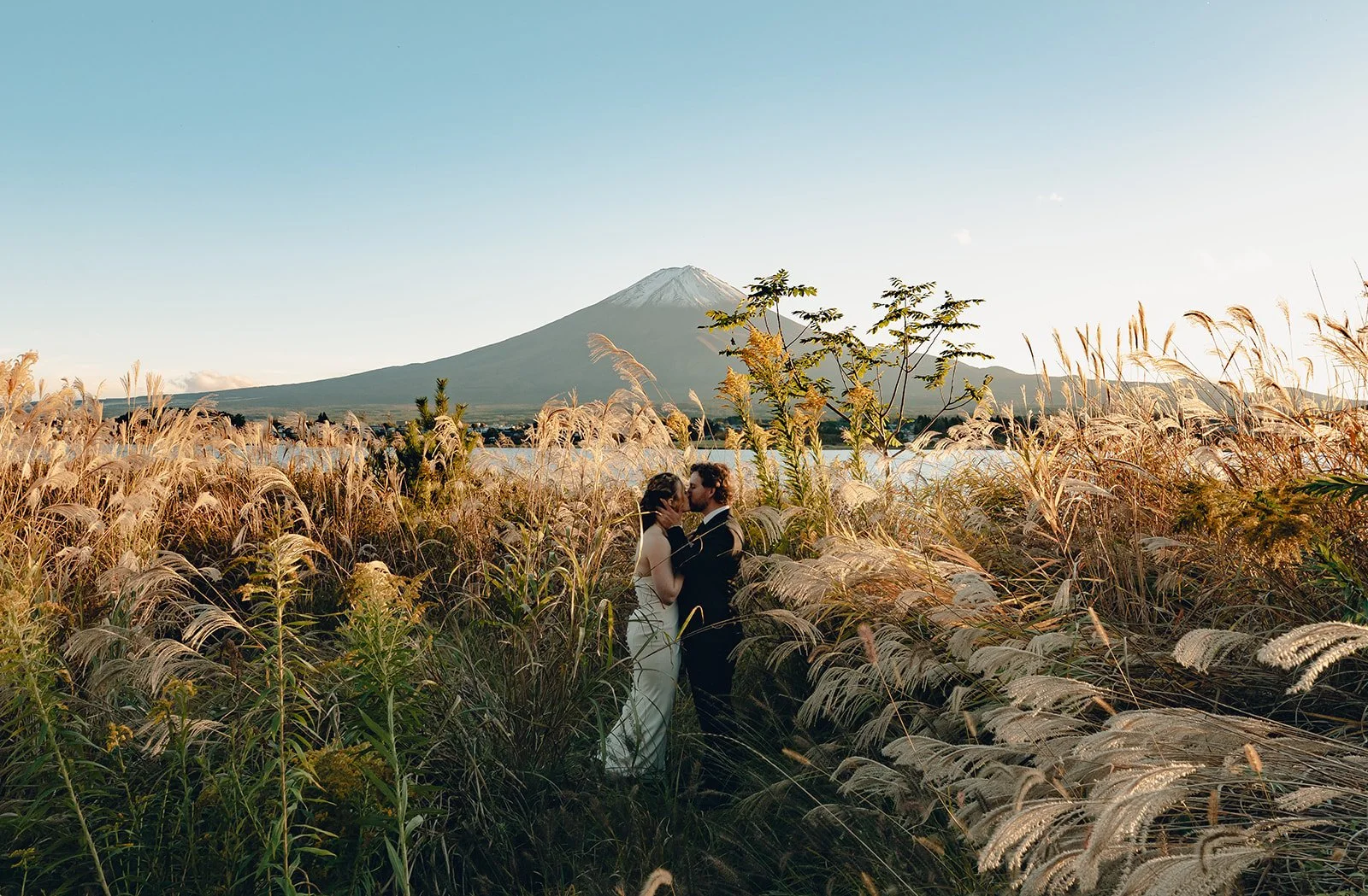 Bride and groom kiss among tall golden susuki grass with Mount Fuji glowing in the evening light.