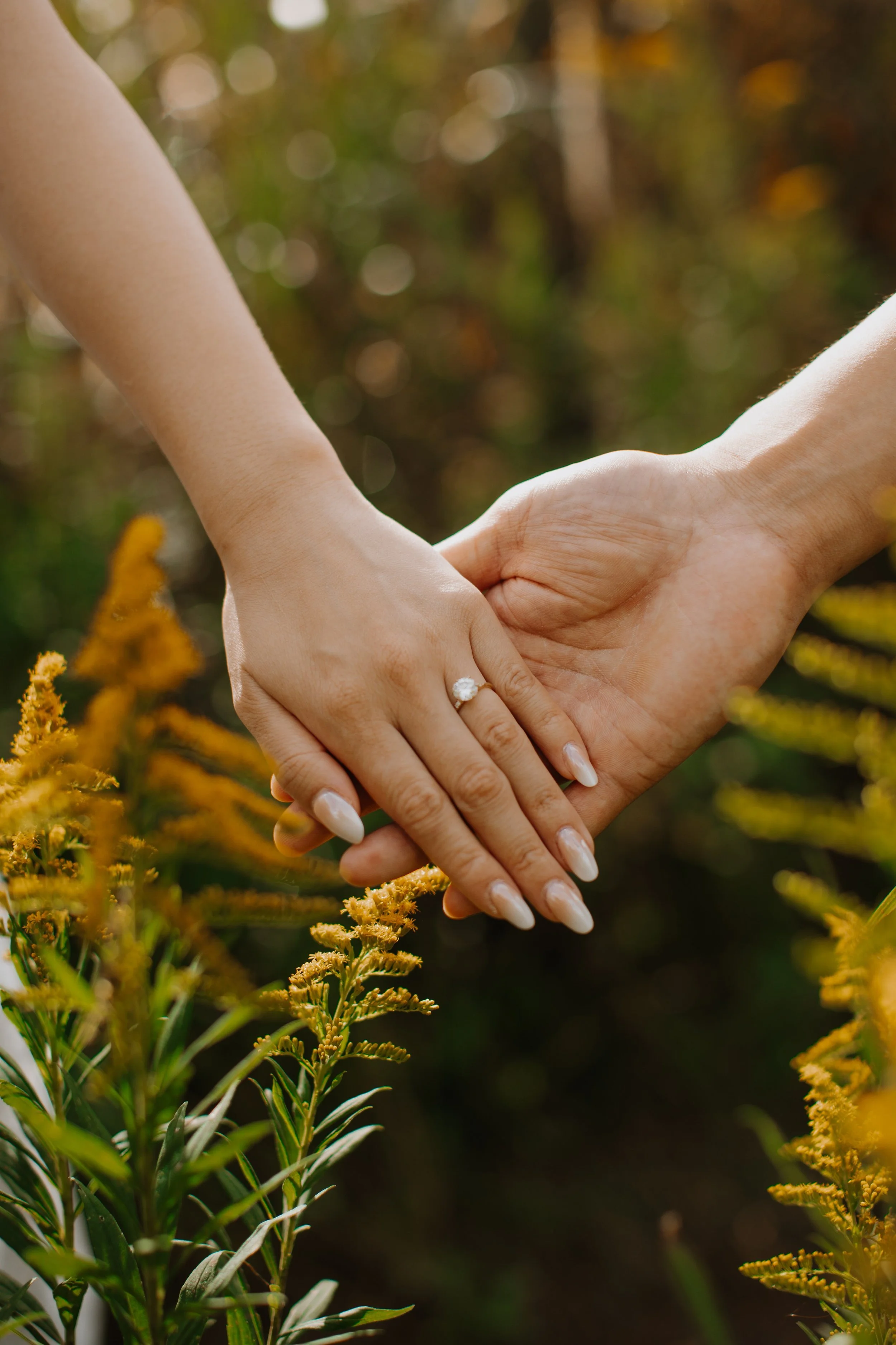 Close-up of a couple's clasped hands showing an engagement ring among yellow wildflowers