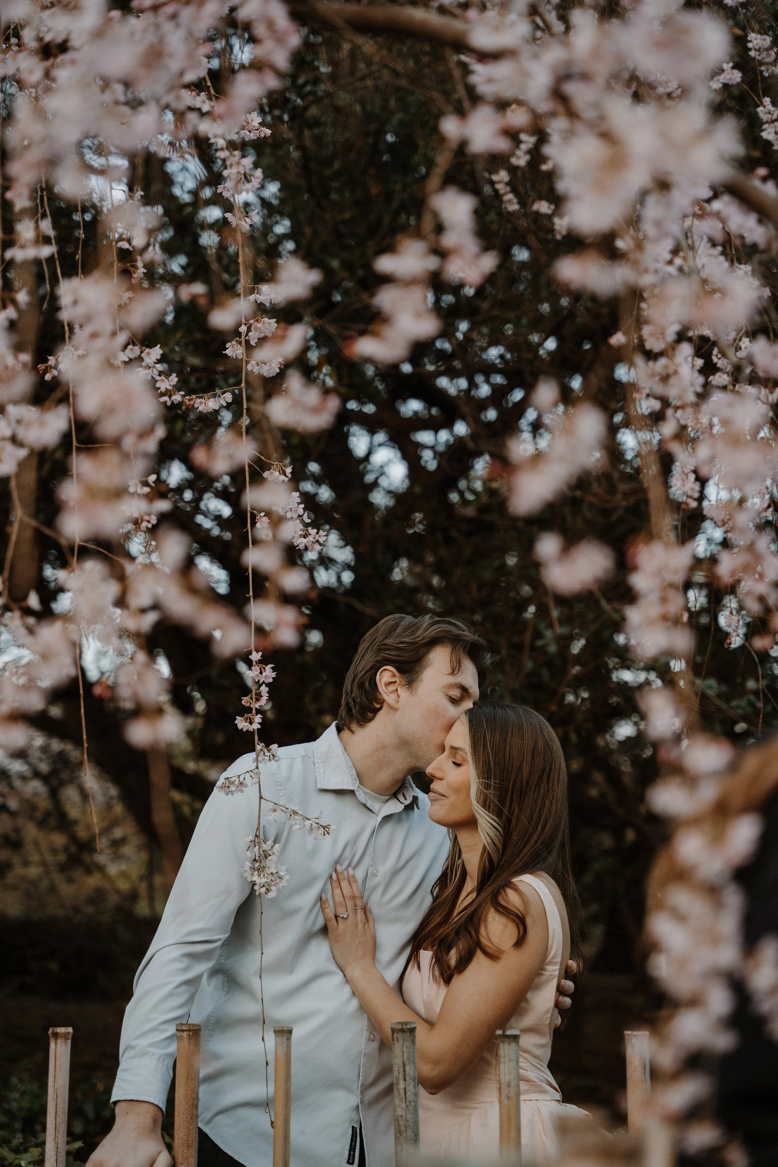 Couple sharing a forehead kiss beneath a weeping cherry blossom tree in Kyoto