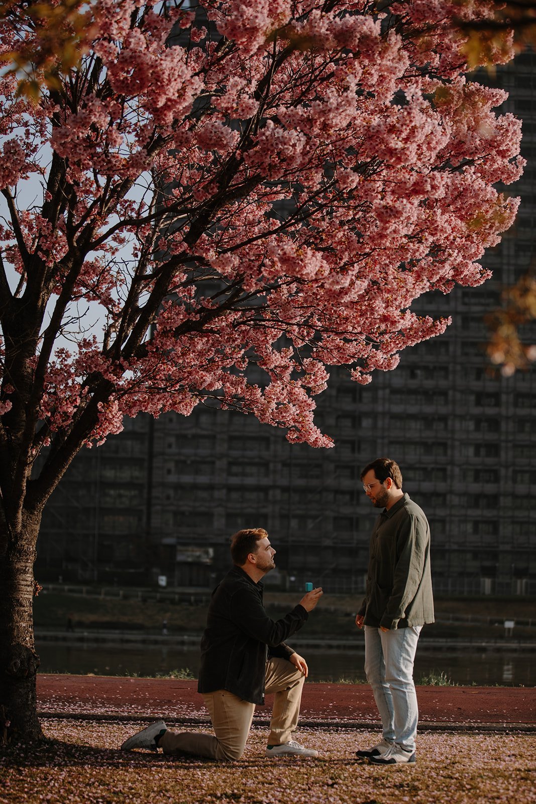 Man proposing to his partner beneath a blooming cherry blossom tree beside a Tokyo river