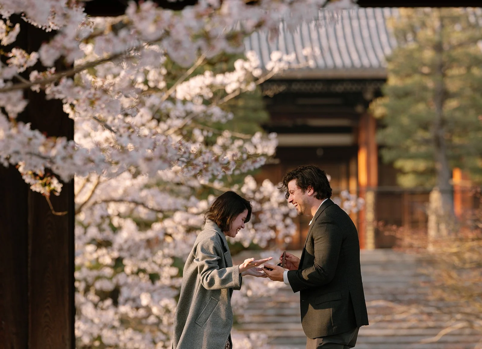 Woman laughing as she is presented with an engagement ring under cherry blossoms in Kyoto
