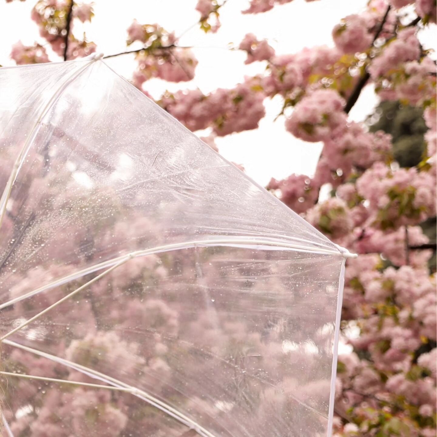 At our outdoor venue, we dance with the rhythm of nature ☂️

Embracing the British weather adds its own charm to the celebration, making every raindrop a part of the story. So don't let the weather stop you! If you're planning a spring wedding, why n