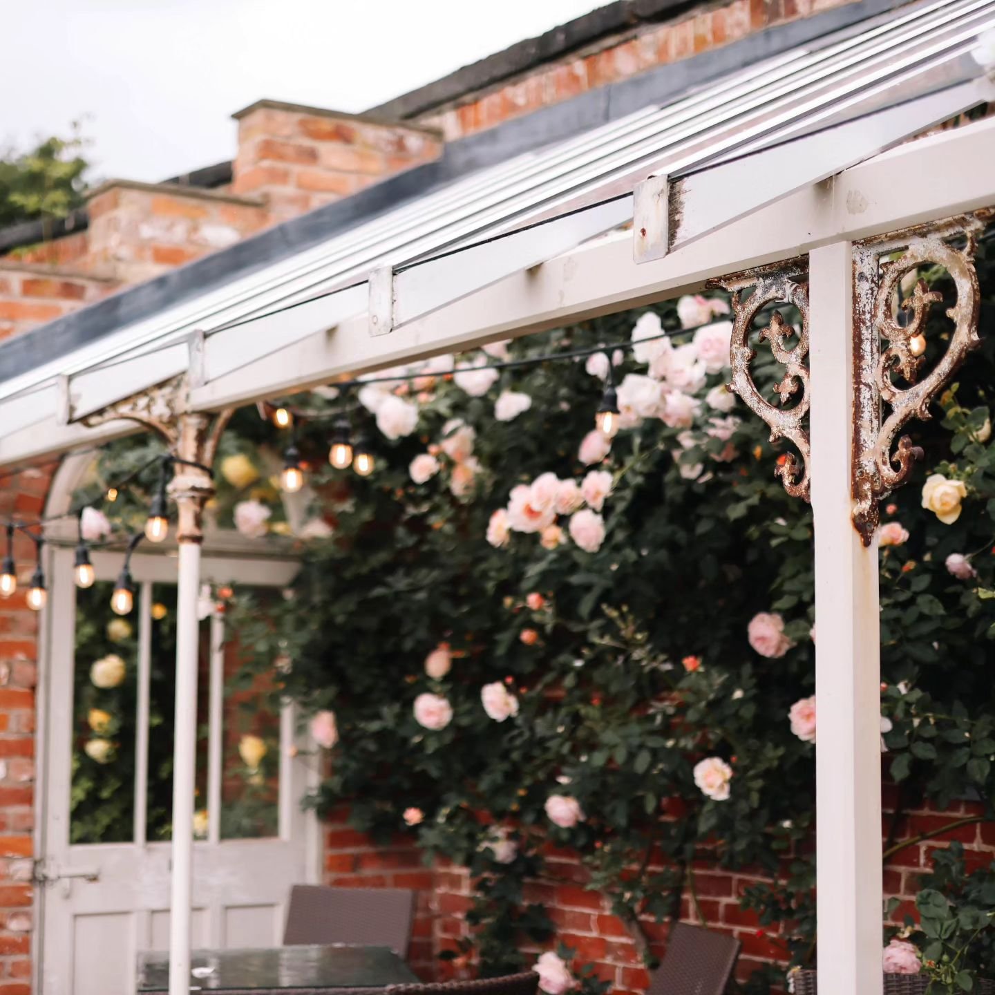 The Walled Garden's peak wedding season commences 🔔

Summer weddings have begun, and our garden takes centre stage, blossoming with an array of colours as different flowers and plants flourish 🌼🌸🌿

Here's to the garden shining brightly over the n