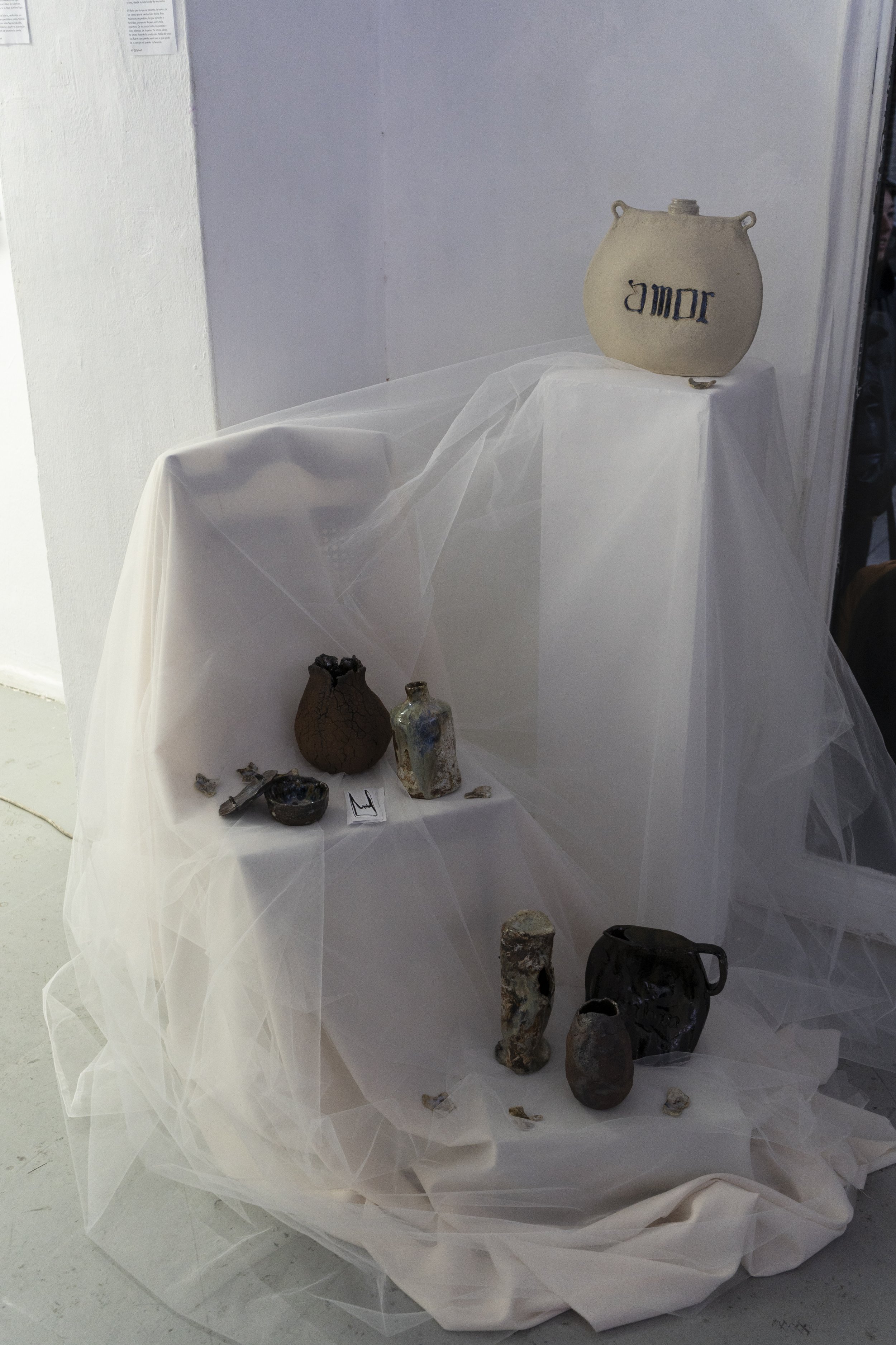 DSC03084.jpg