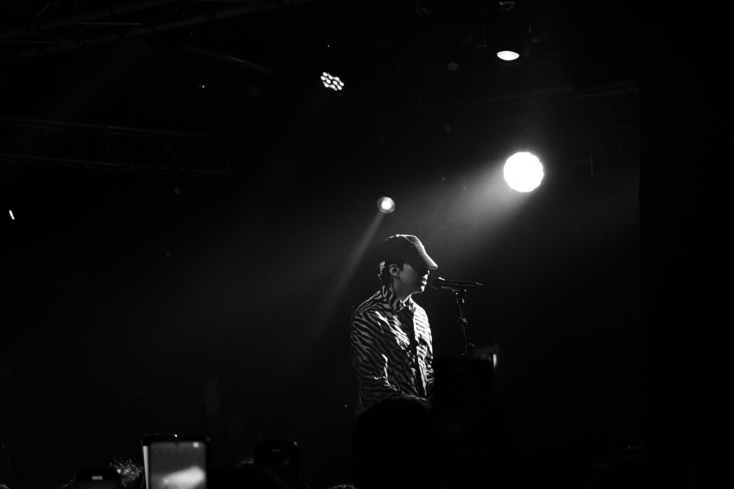 DSC01558_1.jpg
