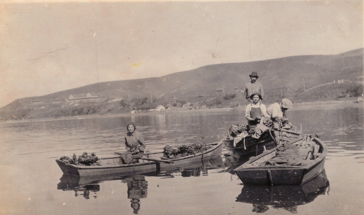 History — Tomales Bay Oyster Company