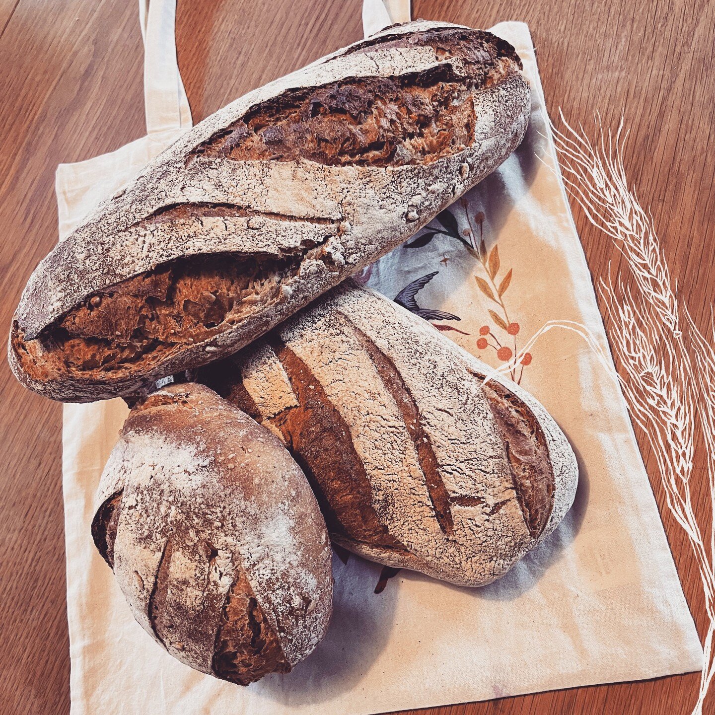 Le fournil de Claire est &agrave; quelques coups de p&eacute;dales de @haute_roche . Tr&egrave;s bon pain bio avec de la farine du perche cuit dans un vieux four &agrave; gueulard ! C&rsquo;est le pain de @haute_roche !