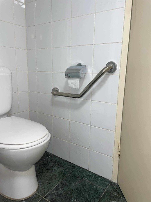 Angle toilet bar.jpg