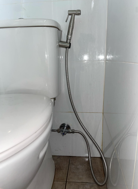 Bidet.png