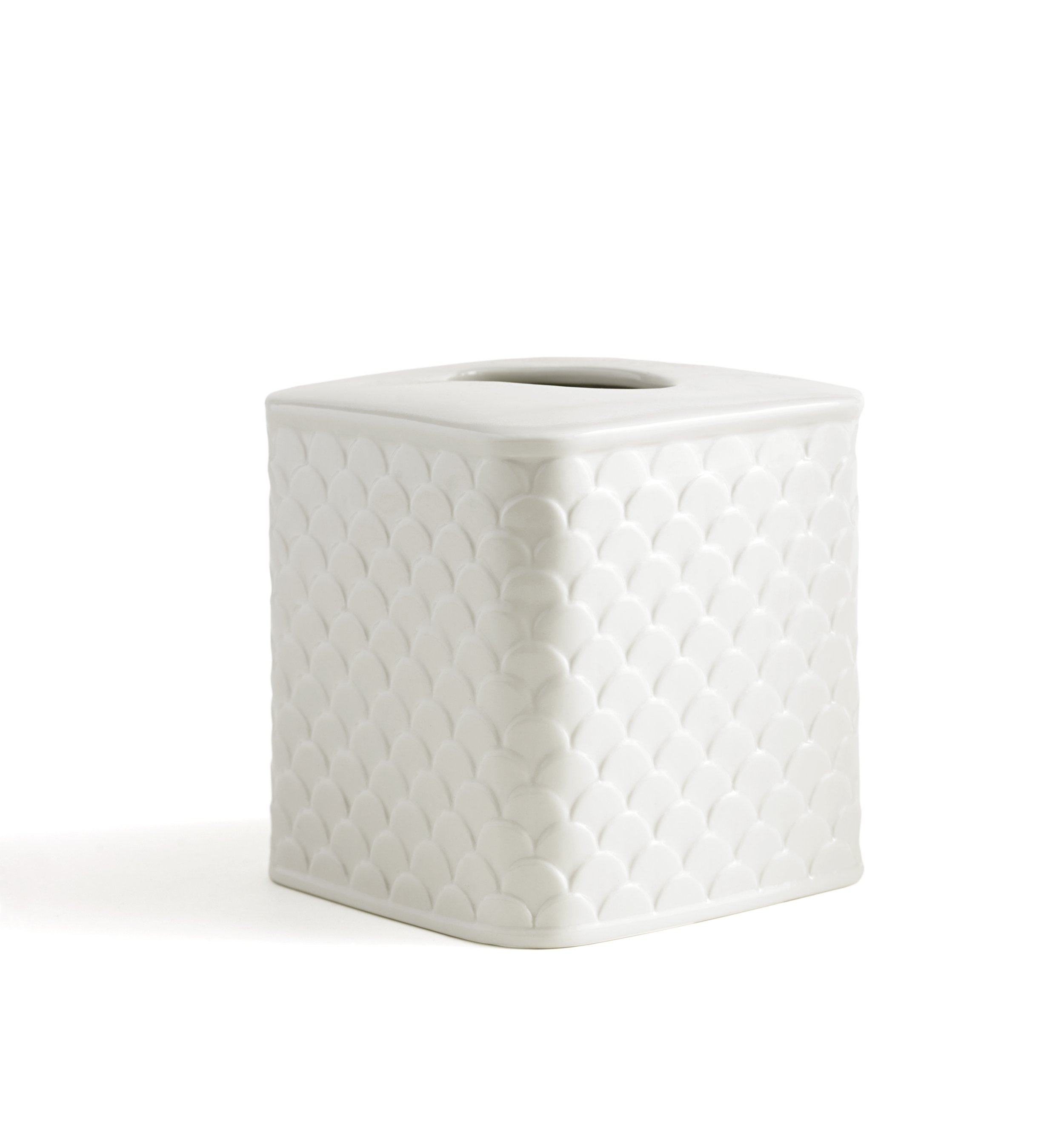KAS_Scala_Tissue.jpg