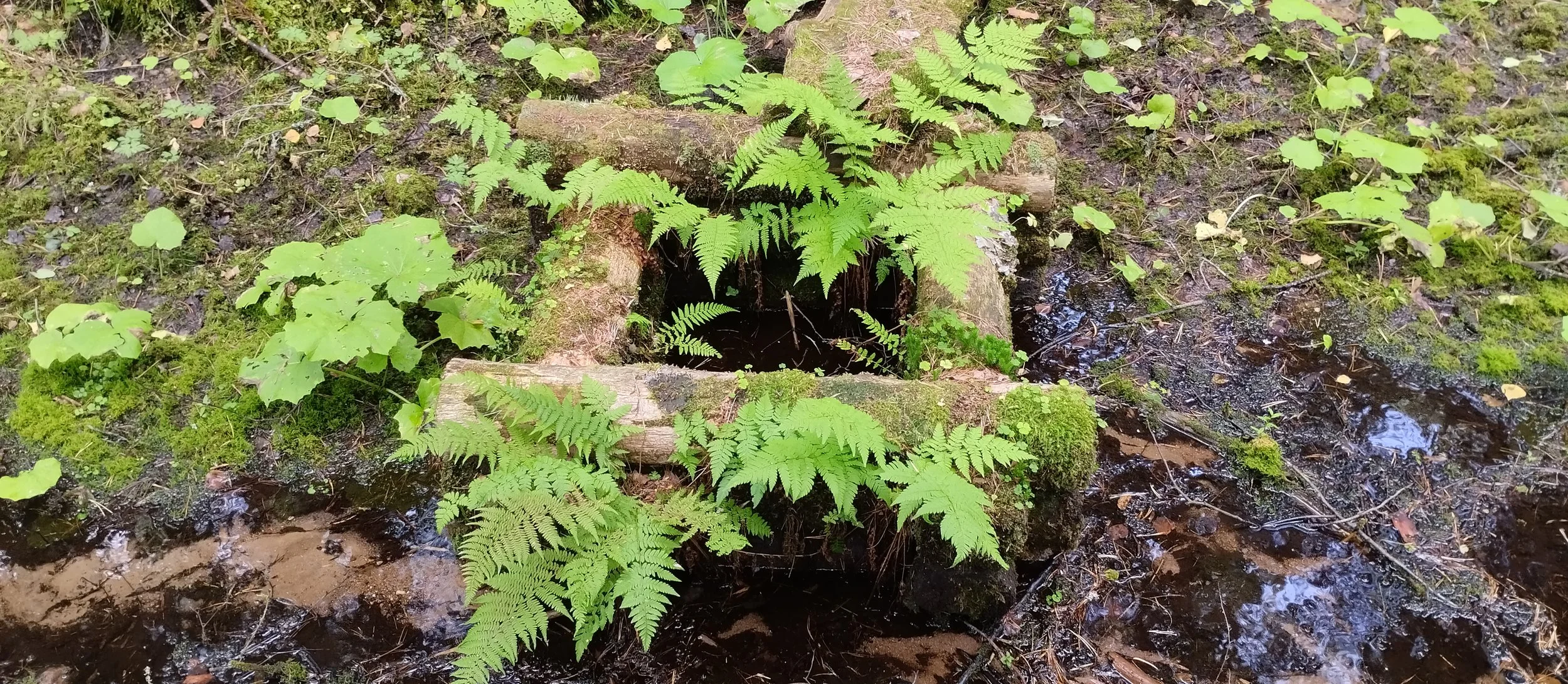 On aeg esitada ettepanekuid Nursipalu harjutusvälja eelnõule! 