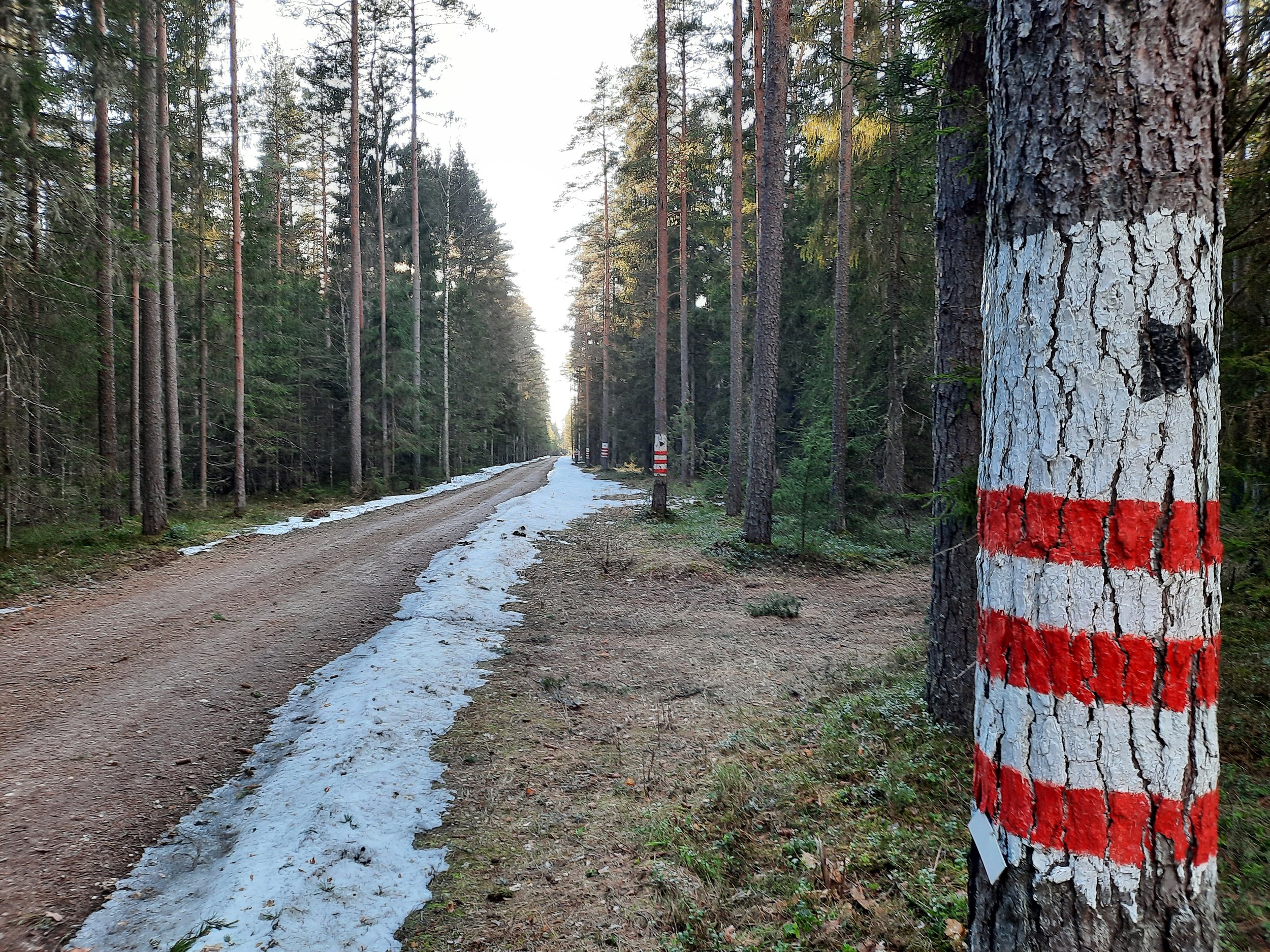 MTÜ Meie Nursipalu kommentaarid ja selgitusNursipalu laienduse eelnõule 