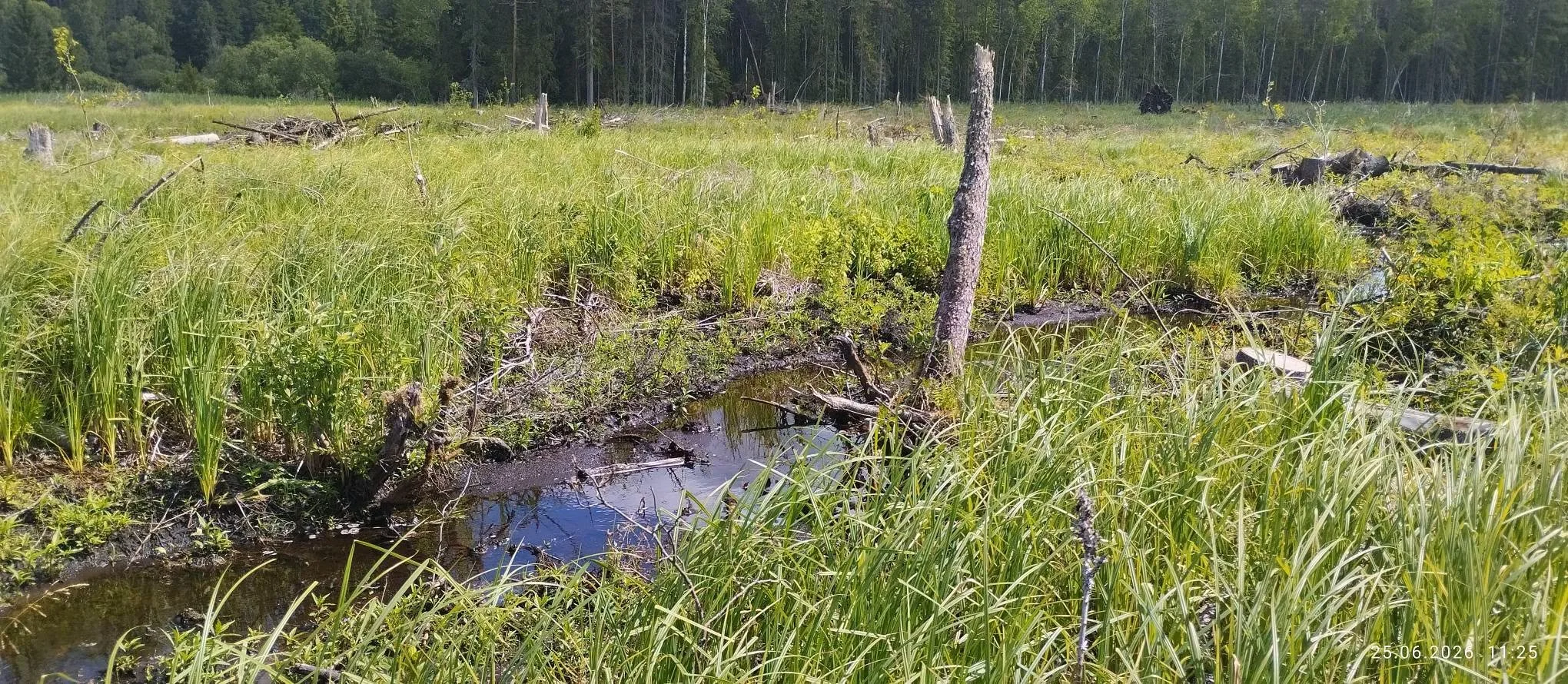  Lageraiutud laskevälja ala sõjamasinatele   ei sobi