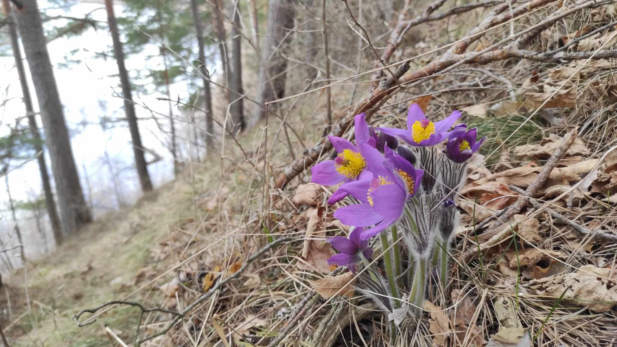 MTÜ võitlusest Ida-laskeväljal