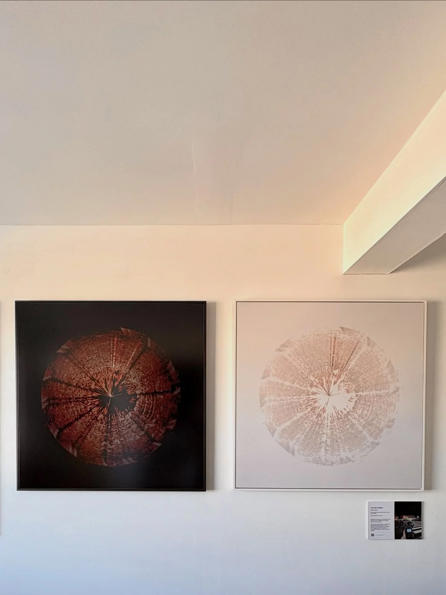 Who wants to go to Tokyo? Me! So I temporary turned my studio into a gallery to display the pieces I made while I was in Tokyo. 

Using a microphone I recorded the electromagnetic field of electric objects and turned them into a sound (swipe to see t
