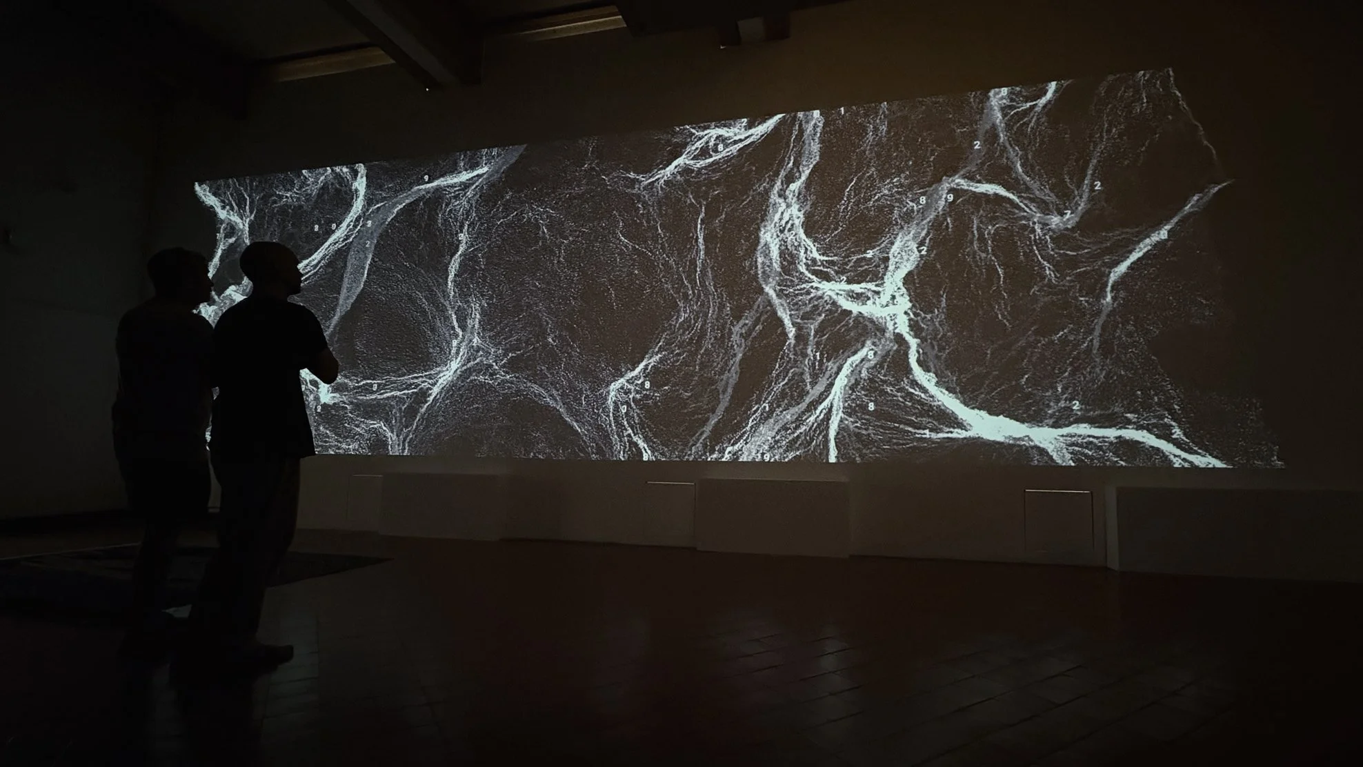 Two people standing in front of a large dark screen displaying a black and white image with abstract lightning or neural network patterns, with numbered annotations.