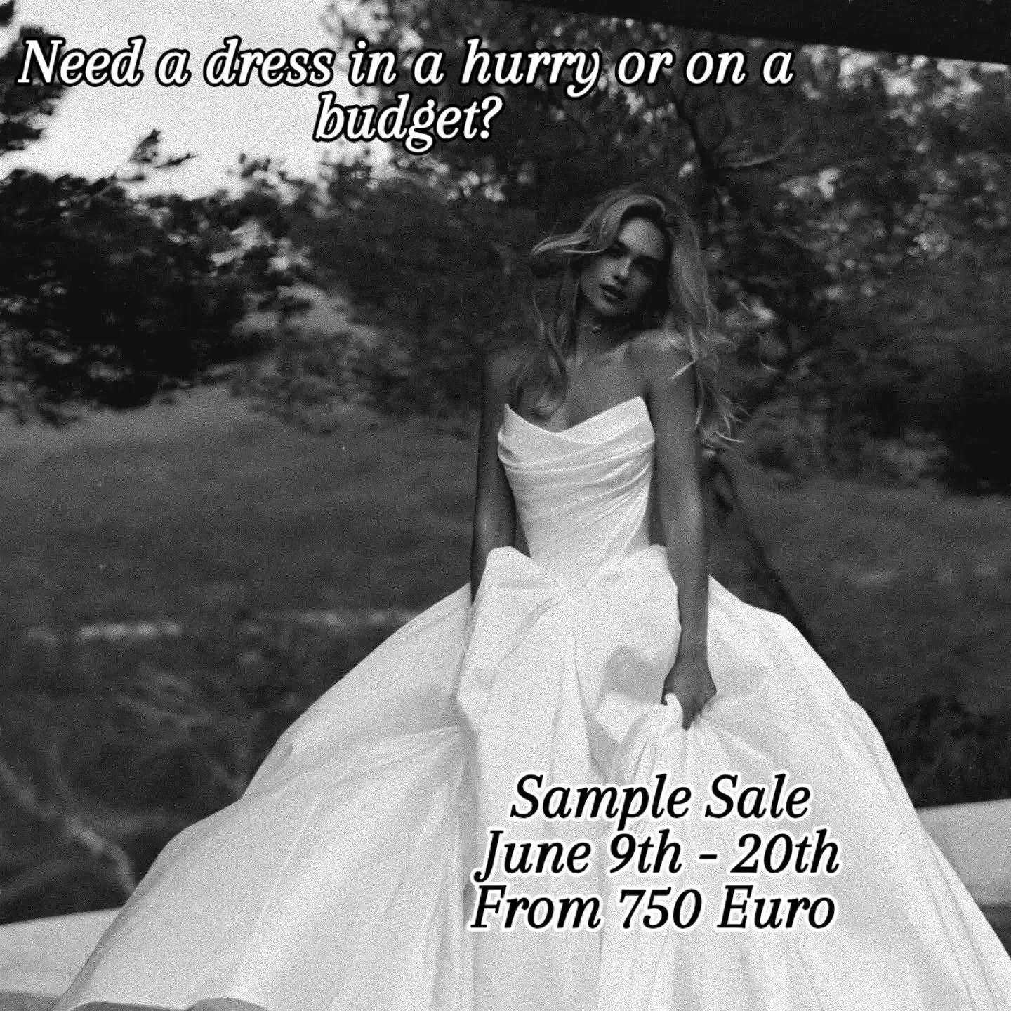🤍🤍 Sale Alert 🤍🤍
@jesuspeiroofficial @evalendel @palomablancabridal @mikaellabridal @albridalcouture