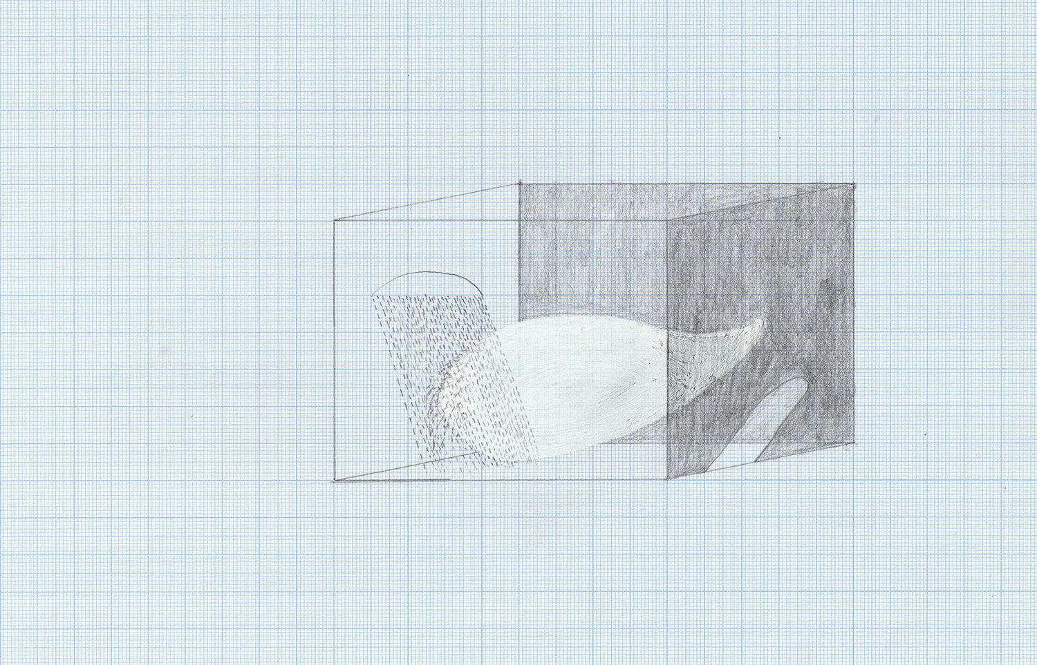 (10c), Graphite and white ink on Graph Paper, 2017