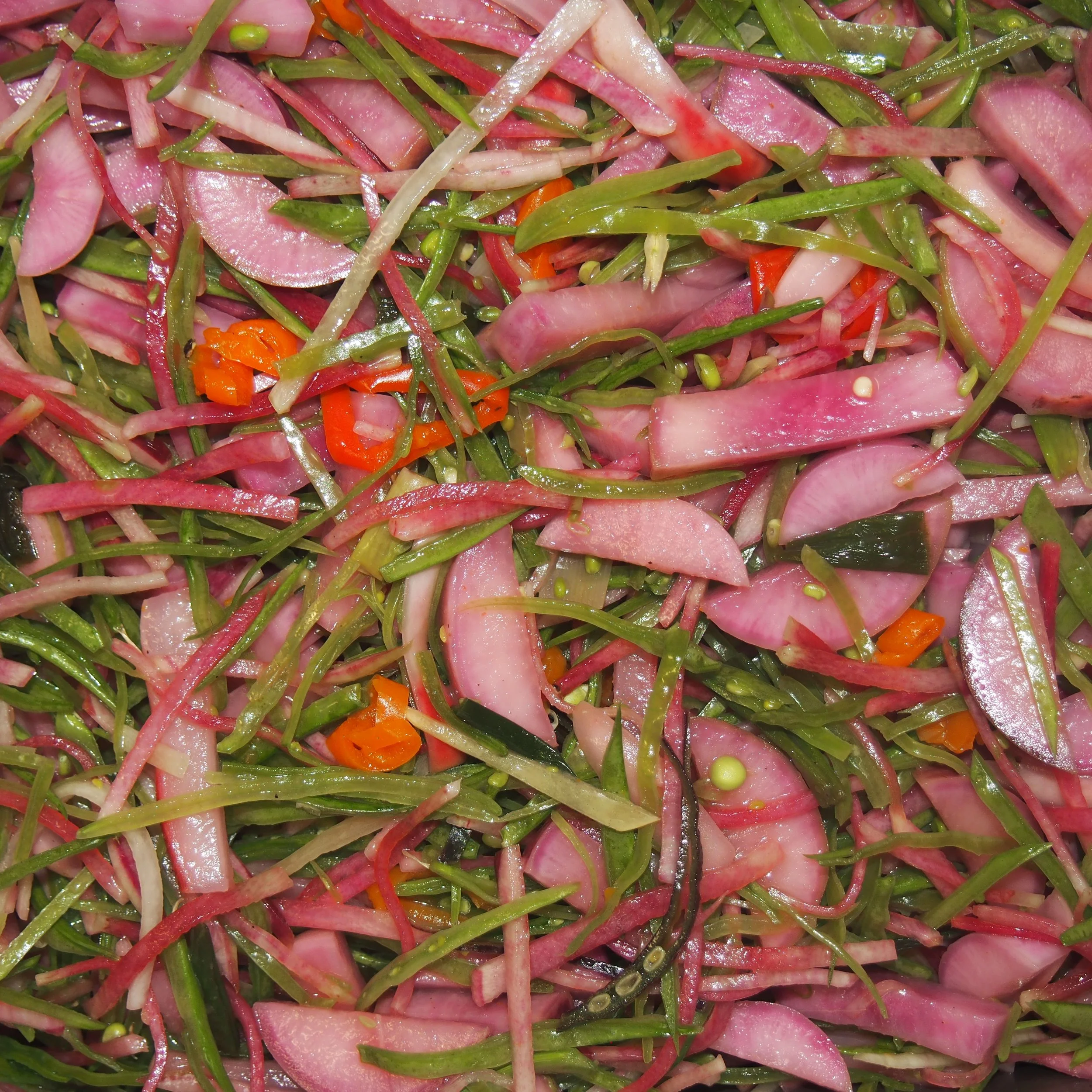 P1011371.JPG