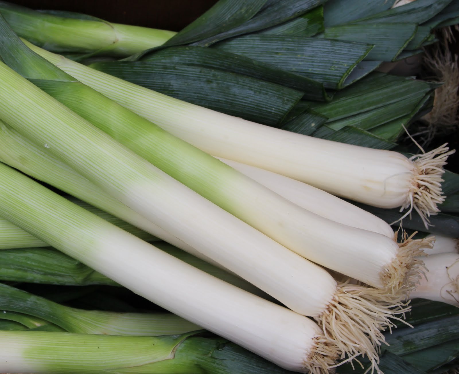 Leeks