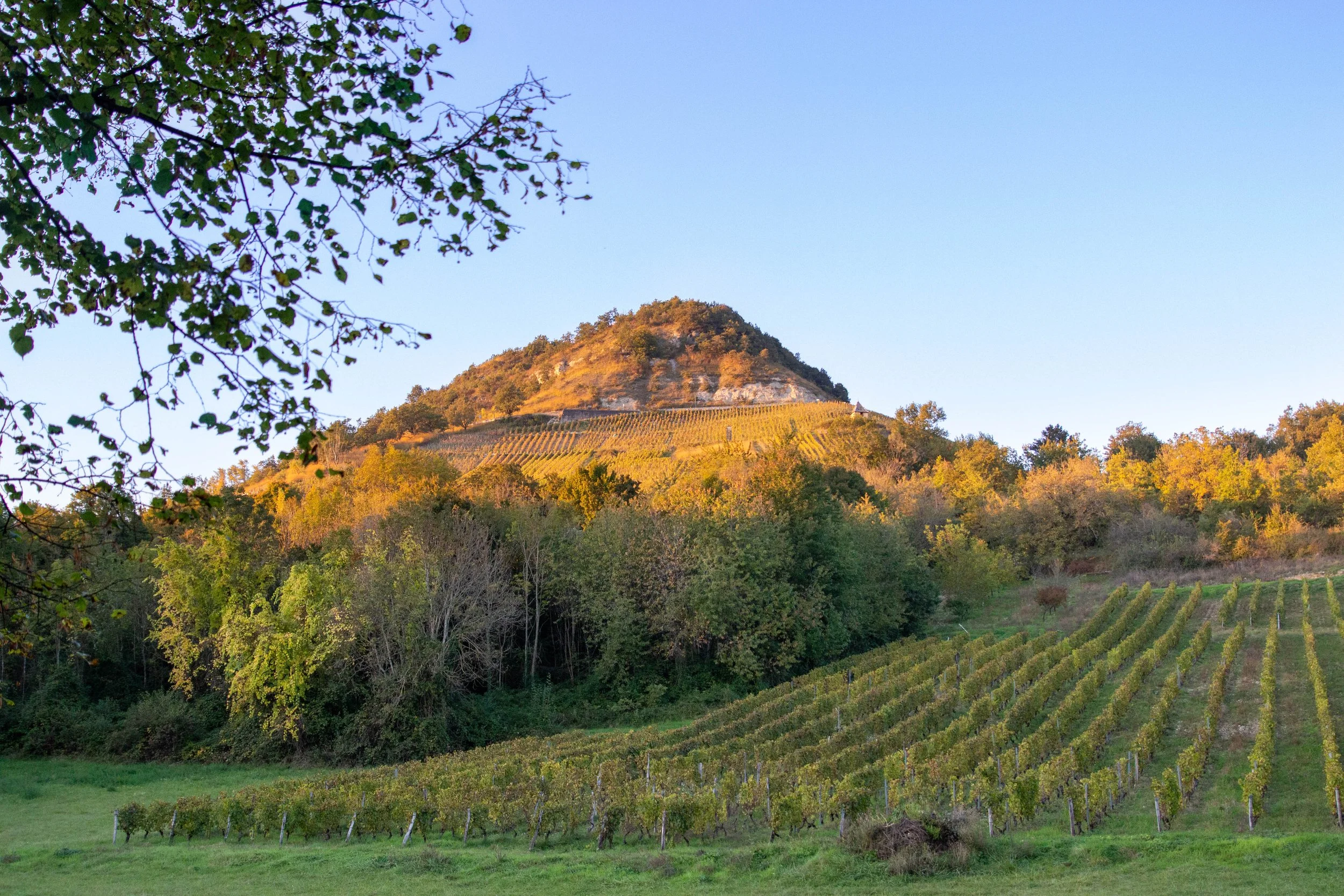 Paysage-Montagnieu_Marilou Perino (1).jpg