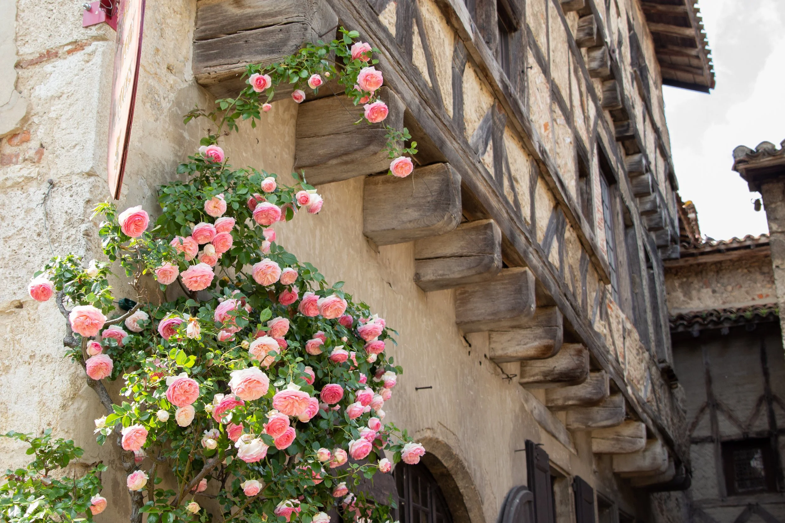 Pérouges-Roses_Marilou Perino-18.jpg