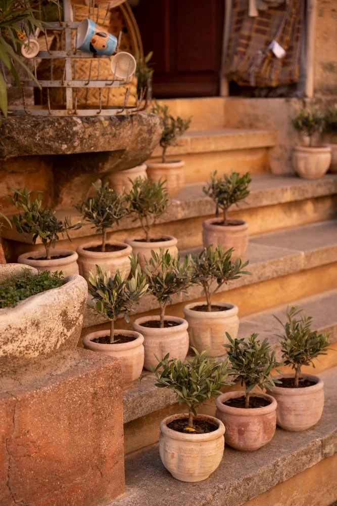 LIGHT-Luberon-Roussillon-2023_Marilou Perino-6.jpg