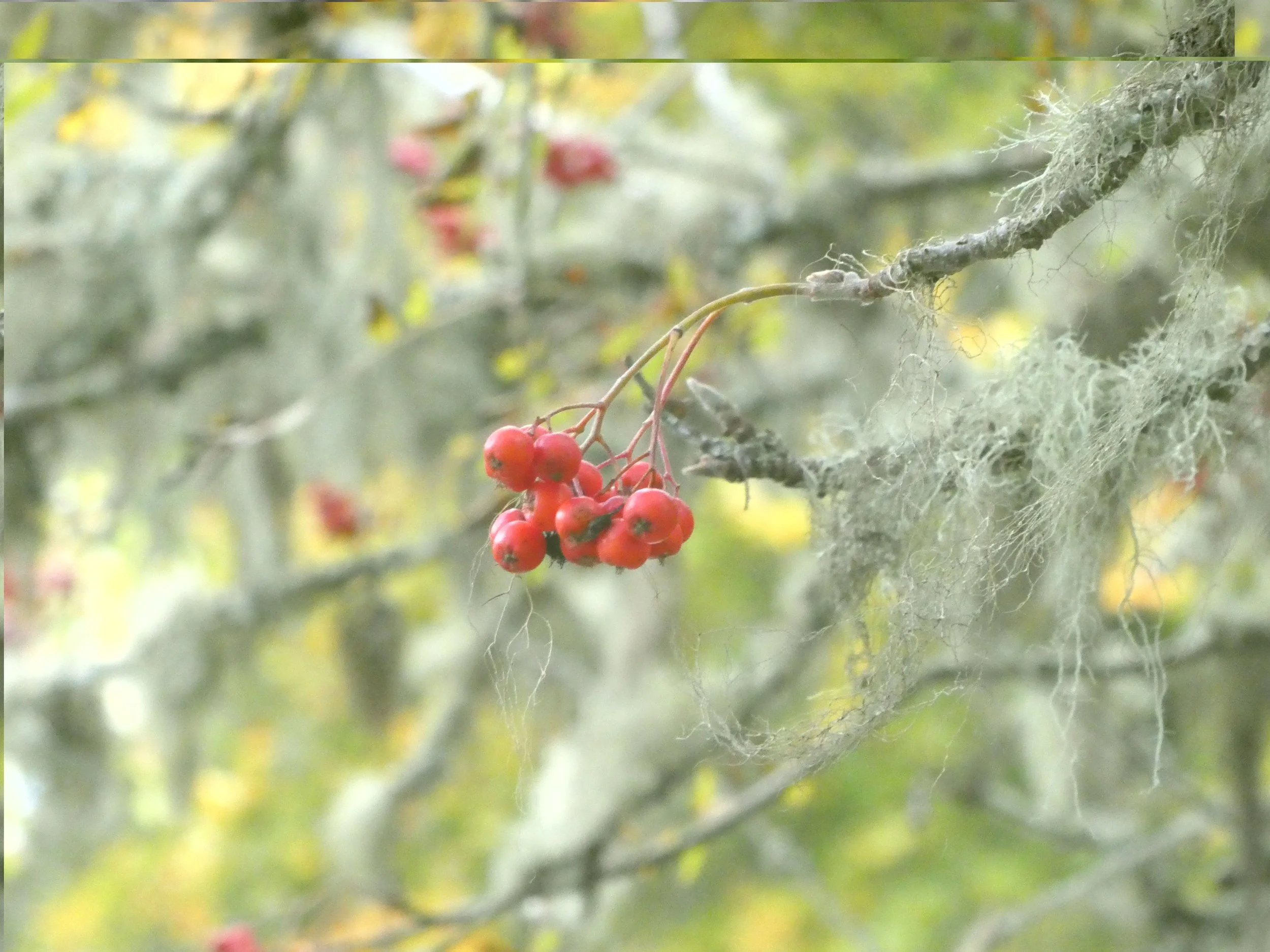 Christmas 2025 Update