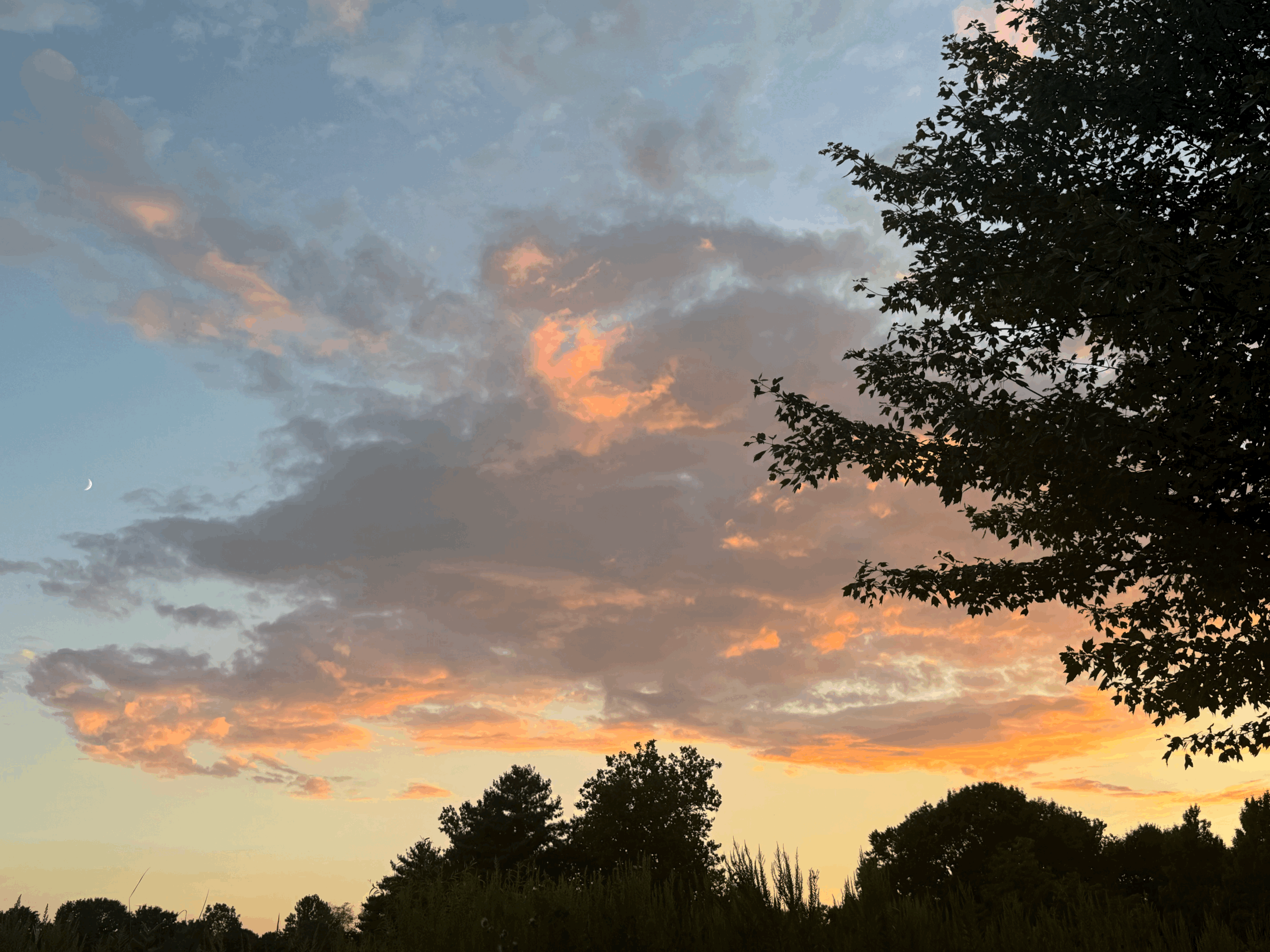 Lunar Eclipse Forest Sound Bath