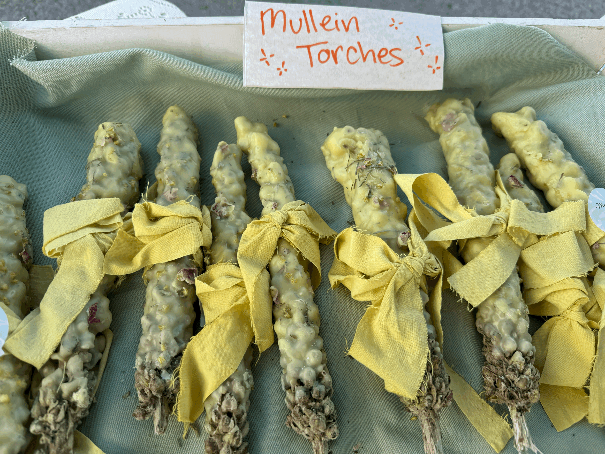 Herbal Mullein Torch